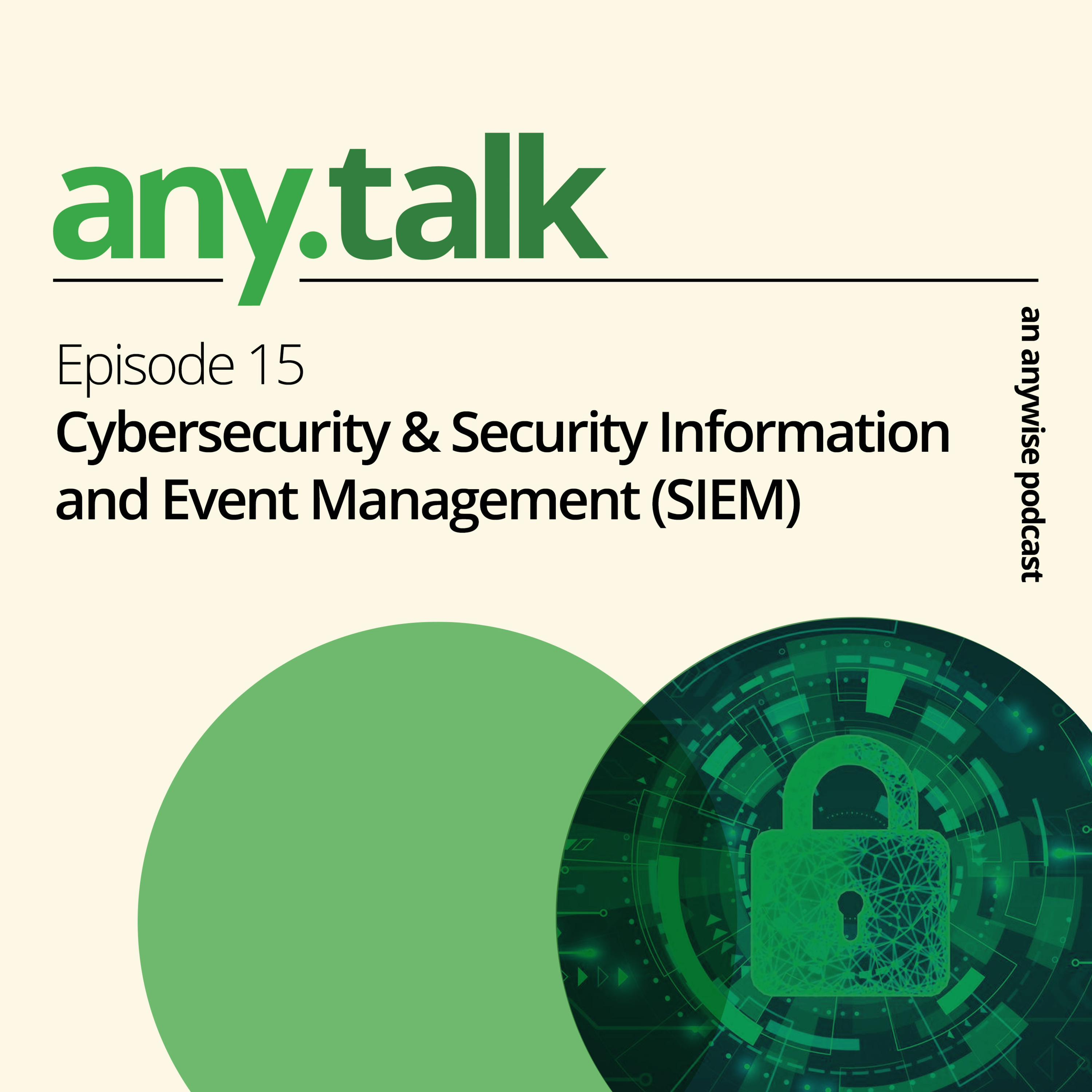 Any.Talk: Cybersecurity episode artwork