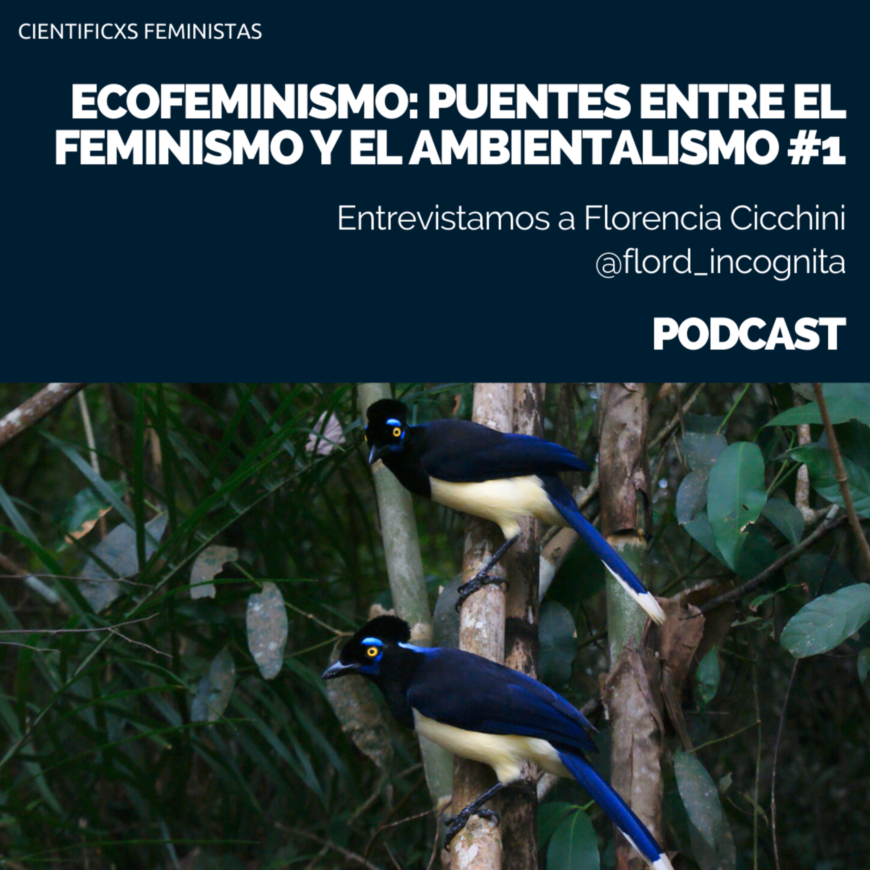 Cientificxs Feministas