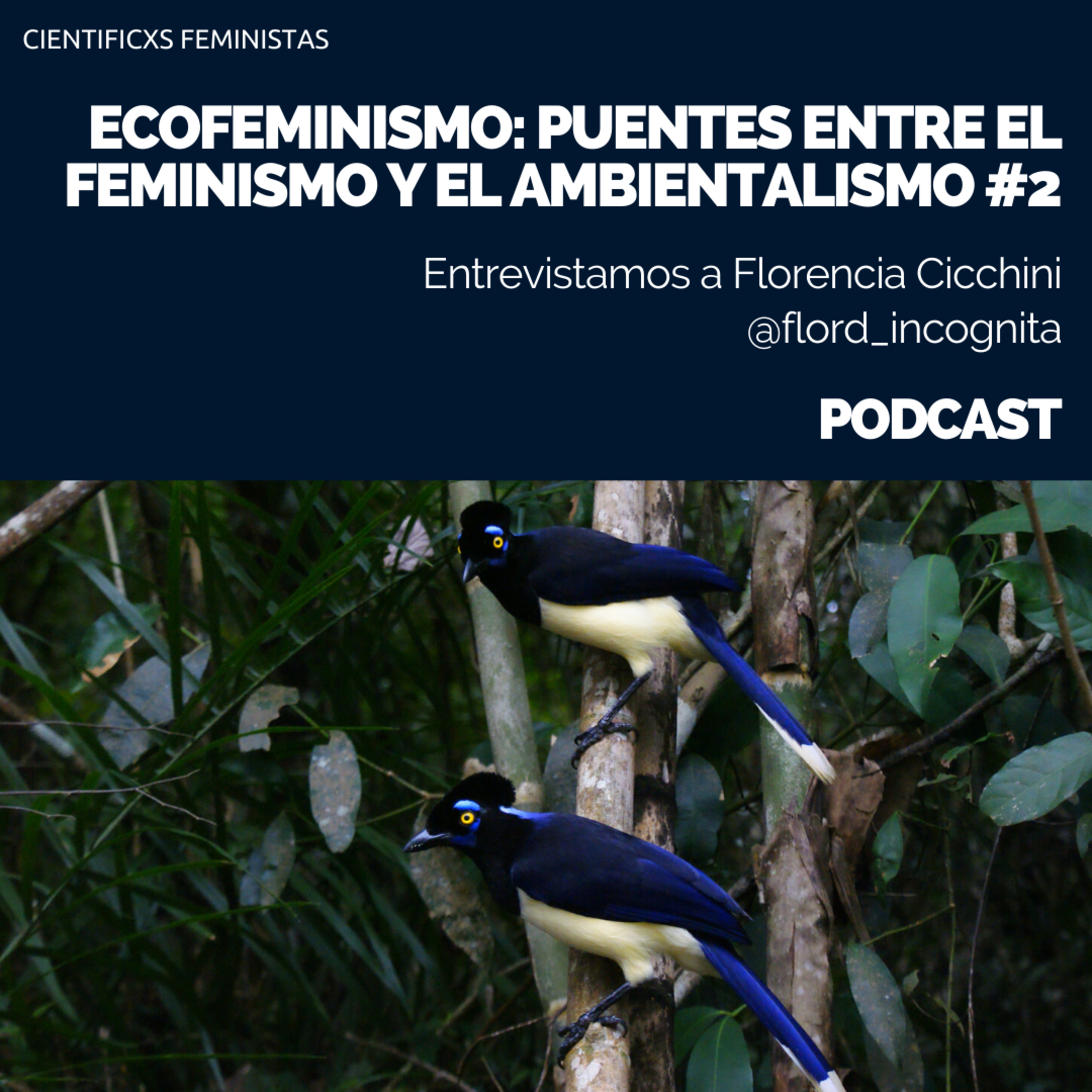Cientificxs Feministas