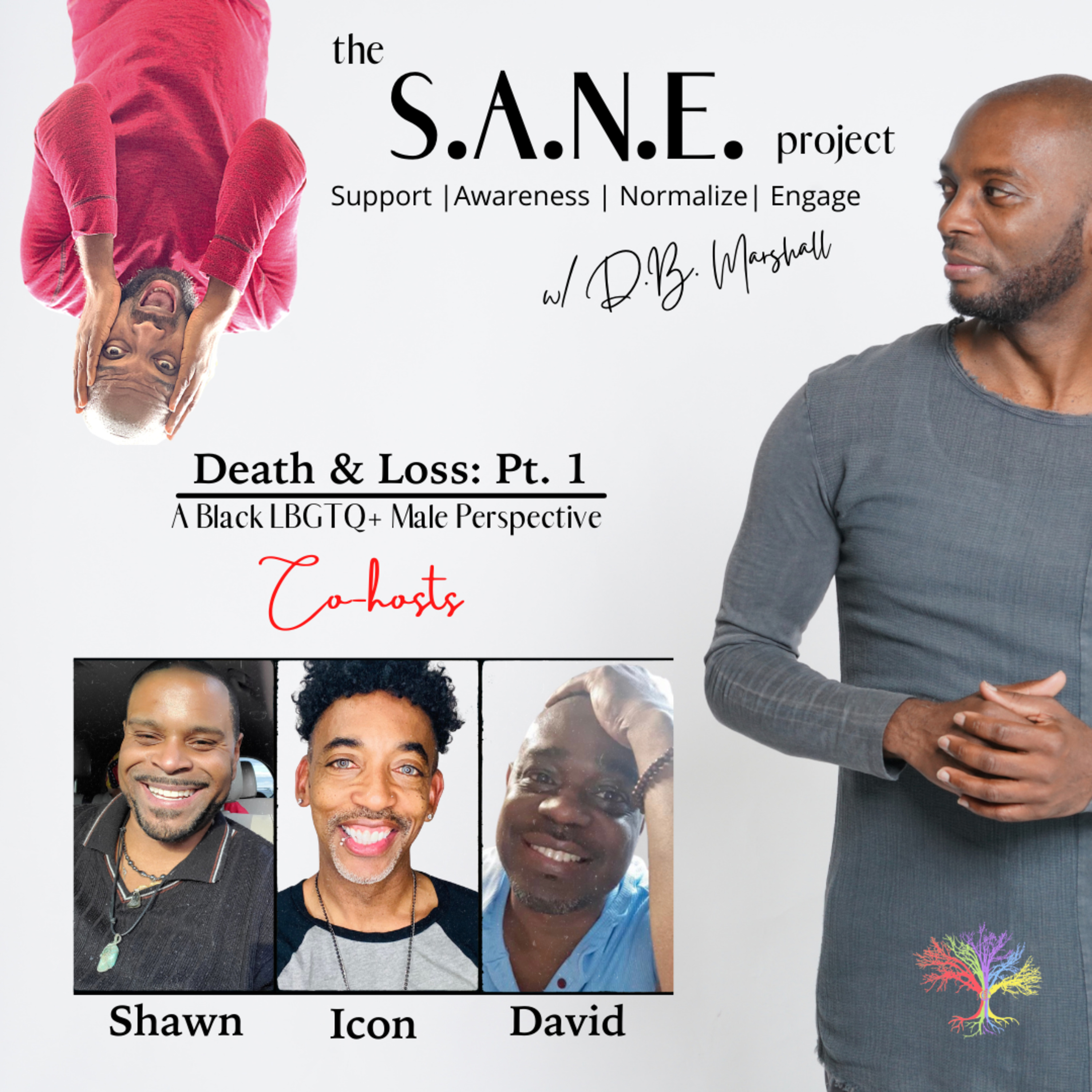 The S.A.N.E. Project