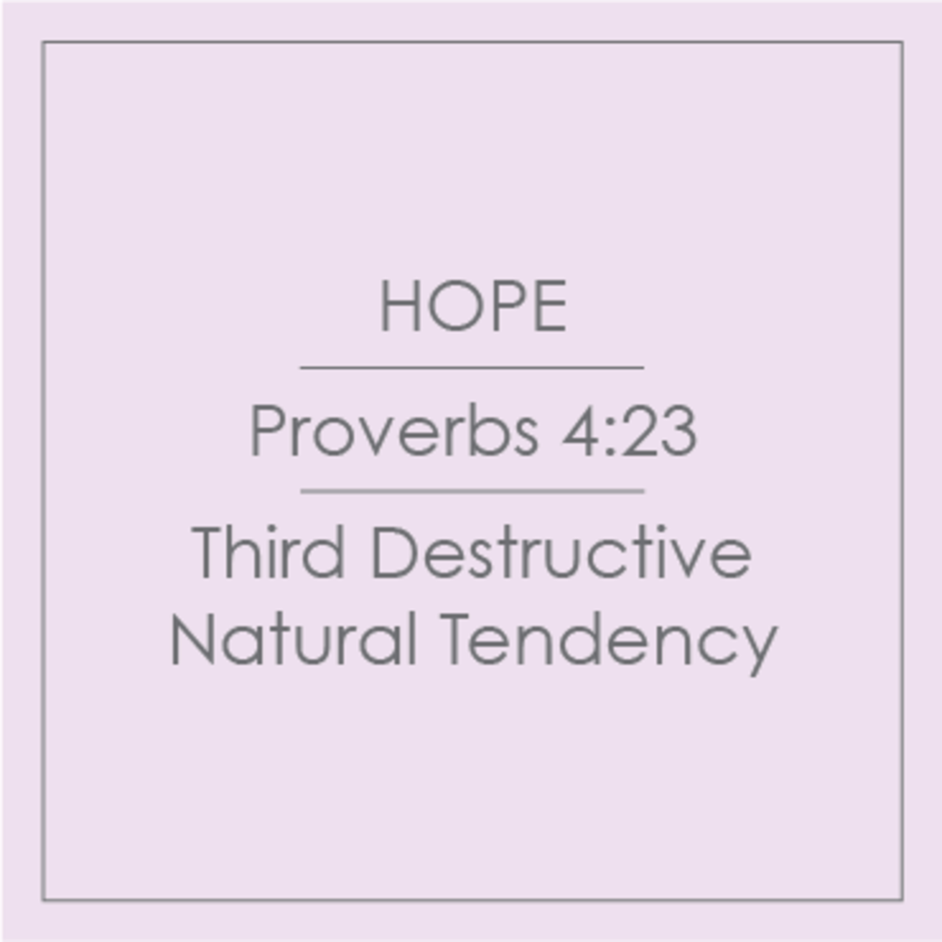 19 - Hope - Third Destructive Natural Tendency episode artwork