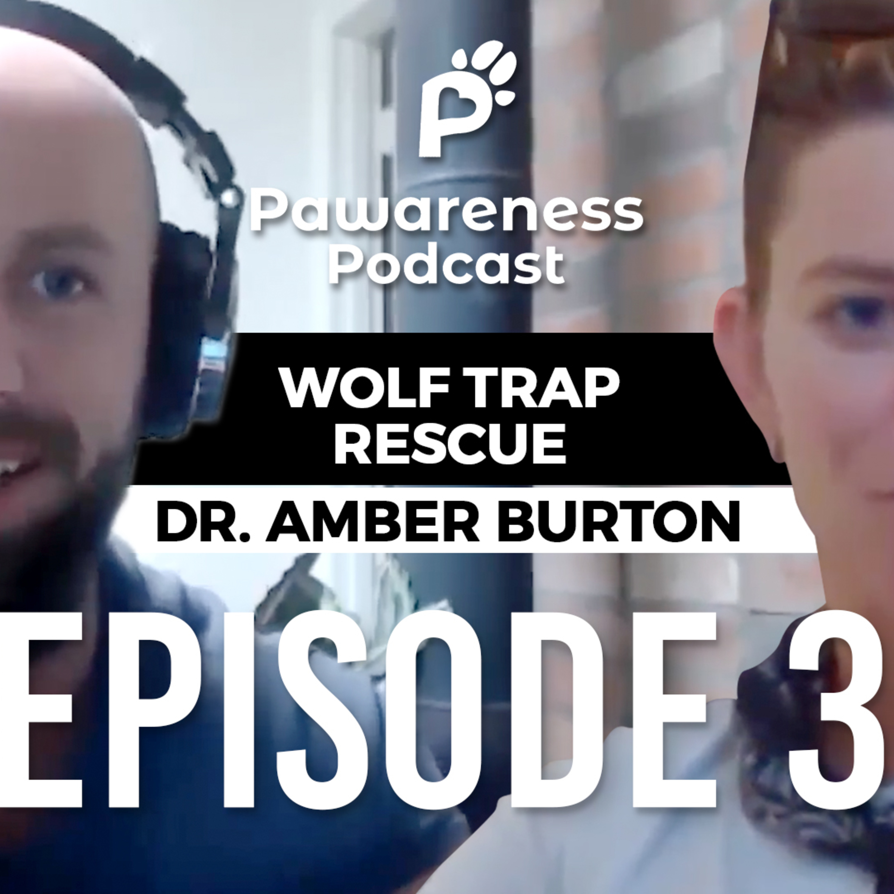 Pawareness Podcast