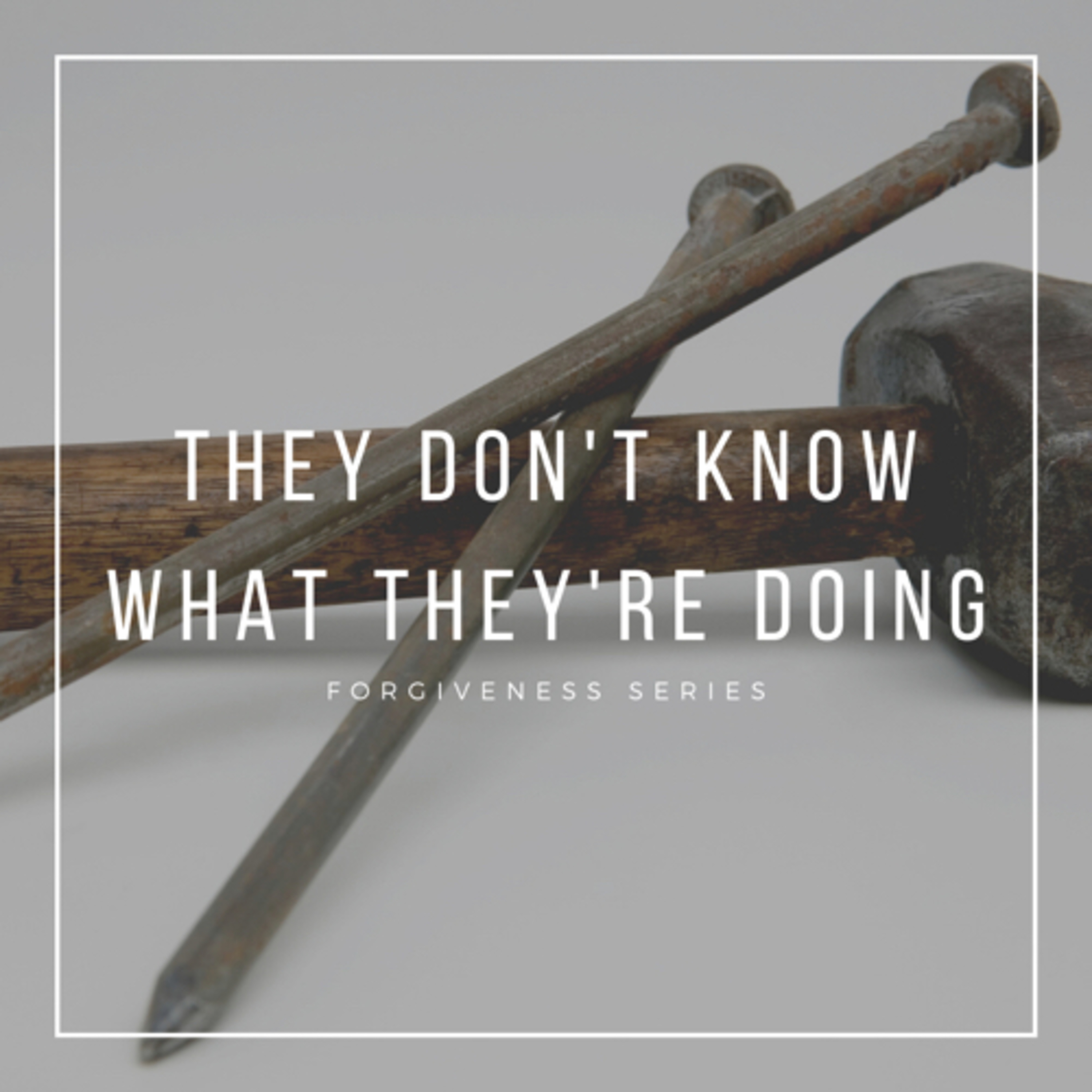 They Don’t Know What They’re Doing pt. 1 [asking forgiveness] episode artwork