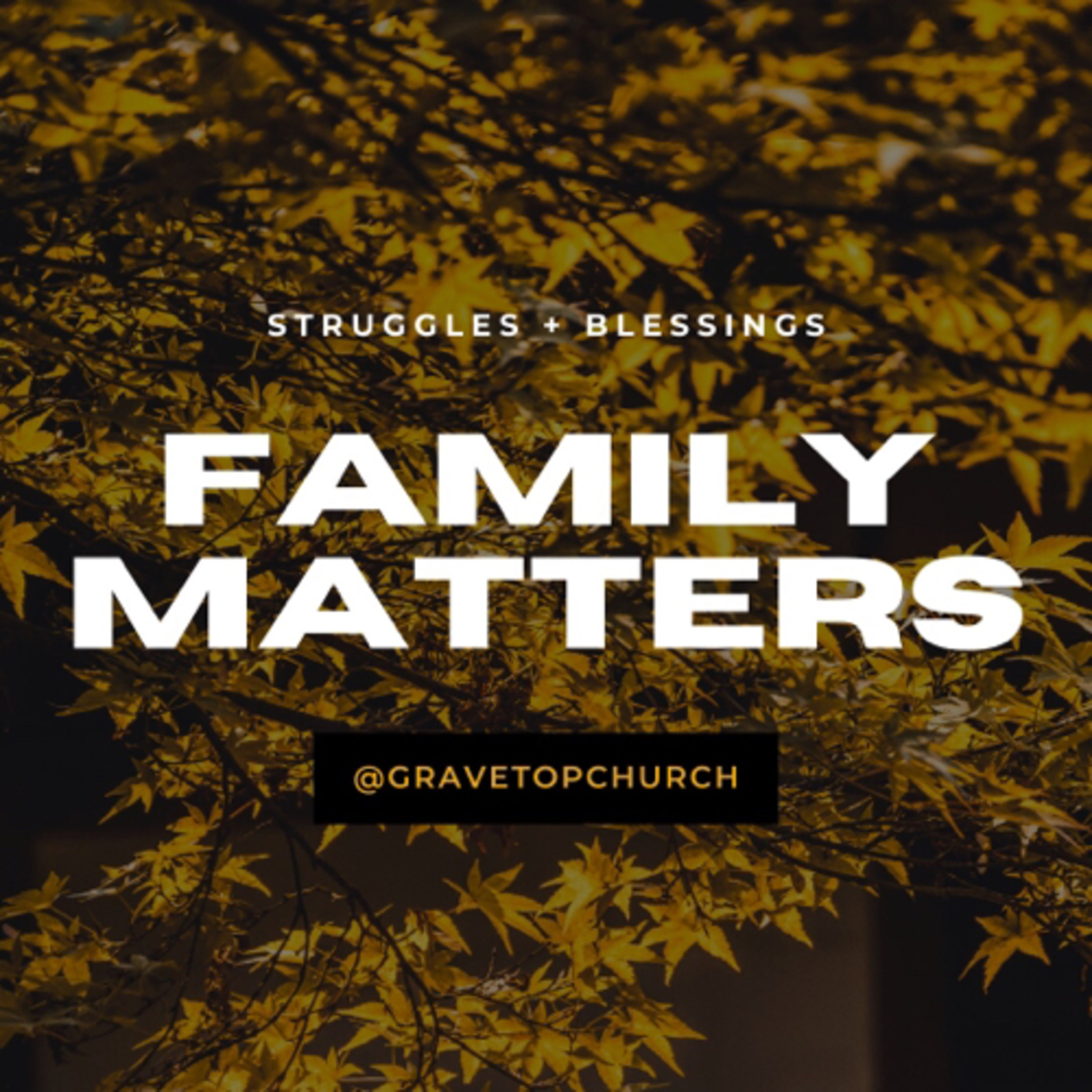 Family Matters pt. 2 [FINDING FREEDOM] episode artwork