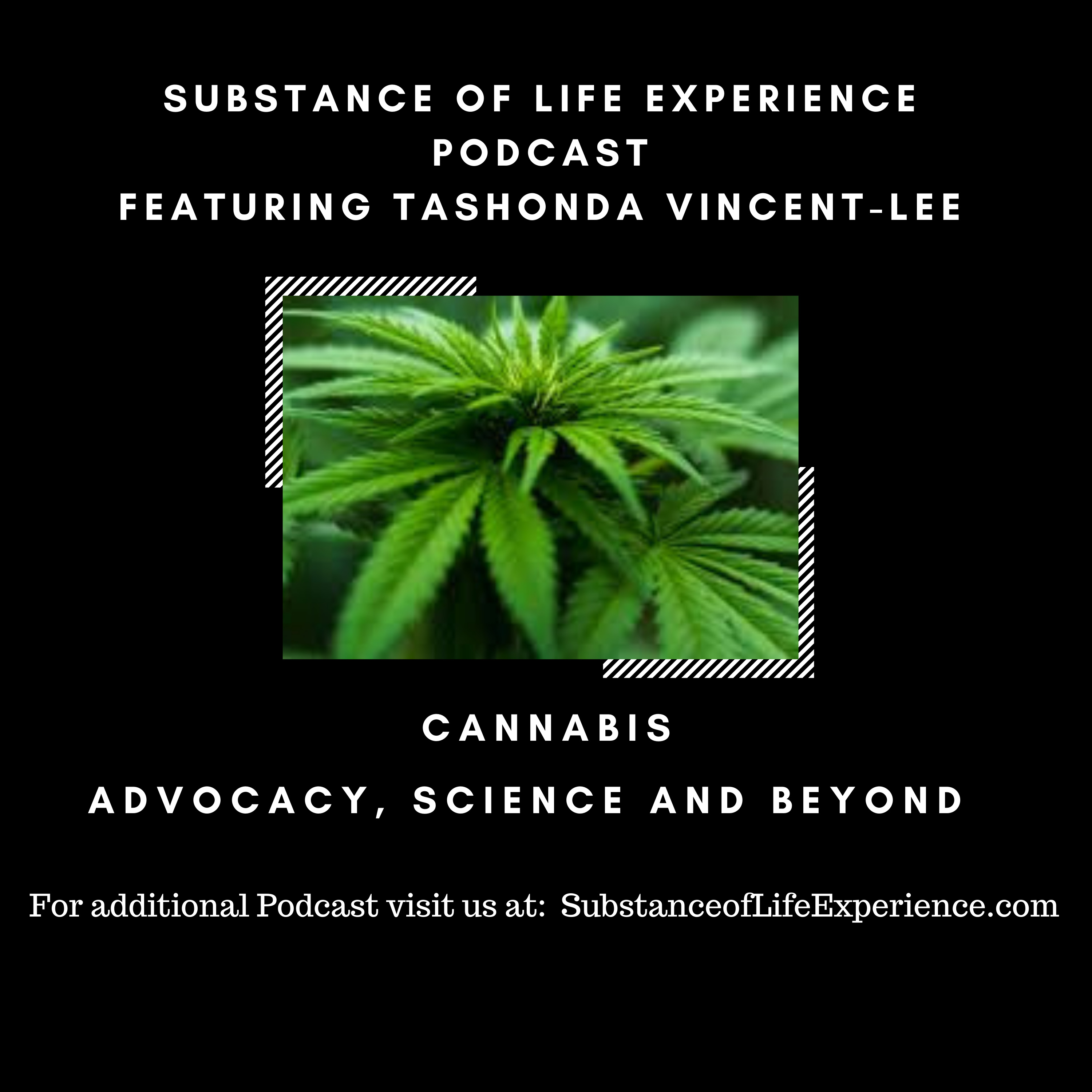 Substance of Life Experience