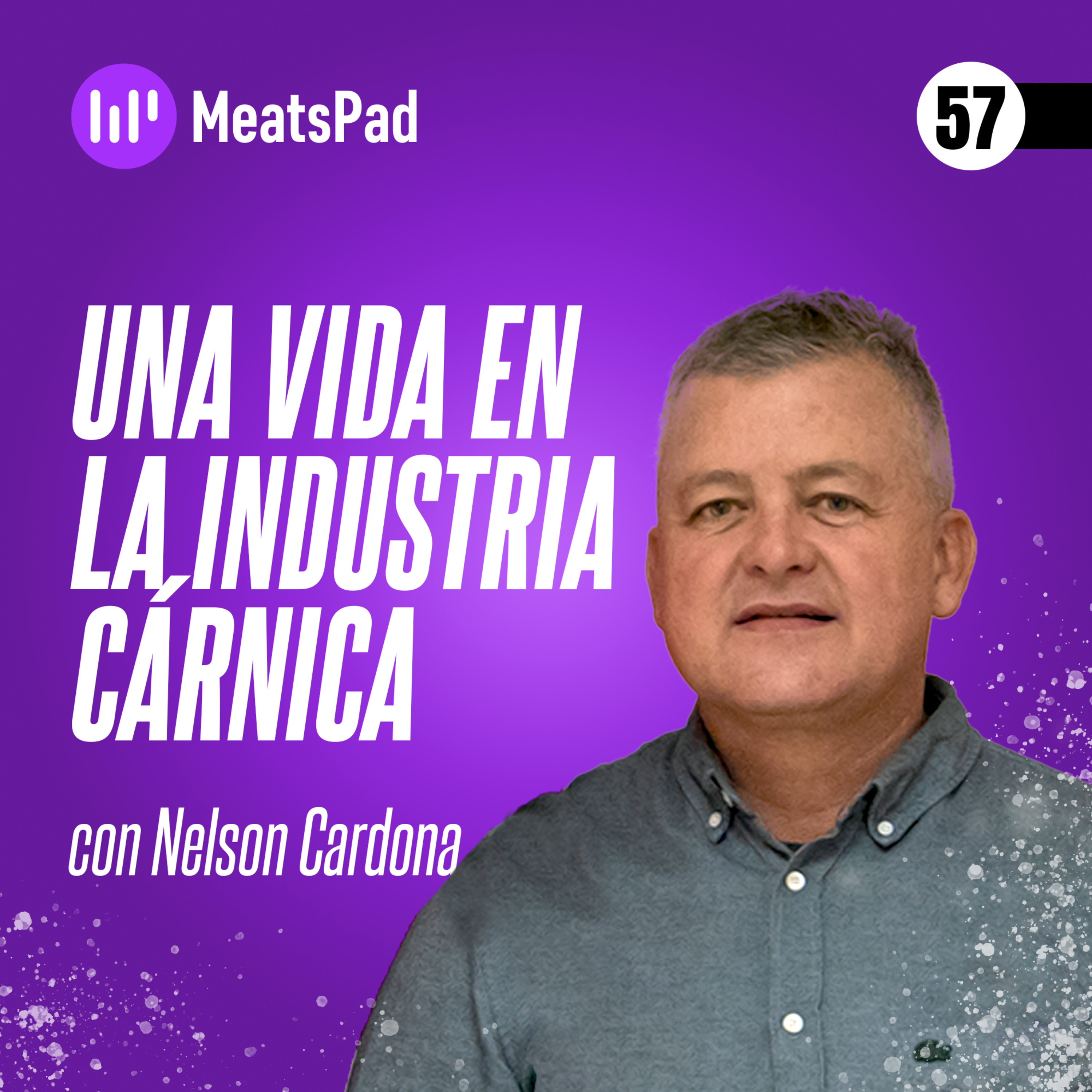 Portada de MeatsPad Esp