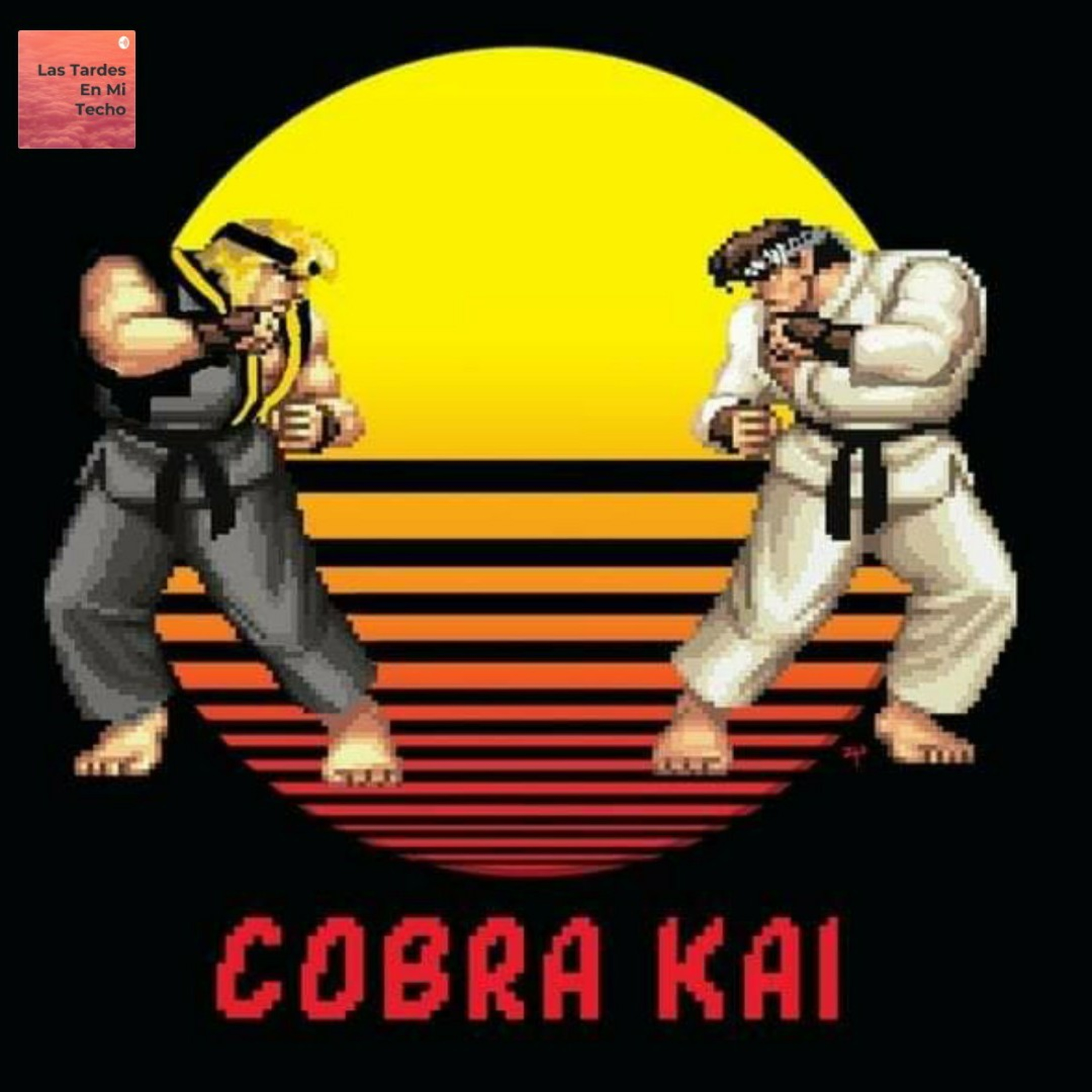 Las Tardes En Mi Techo