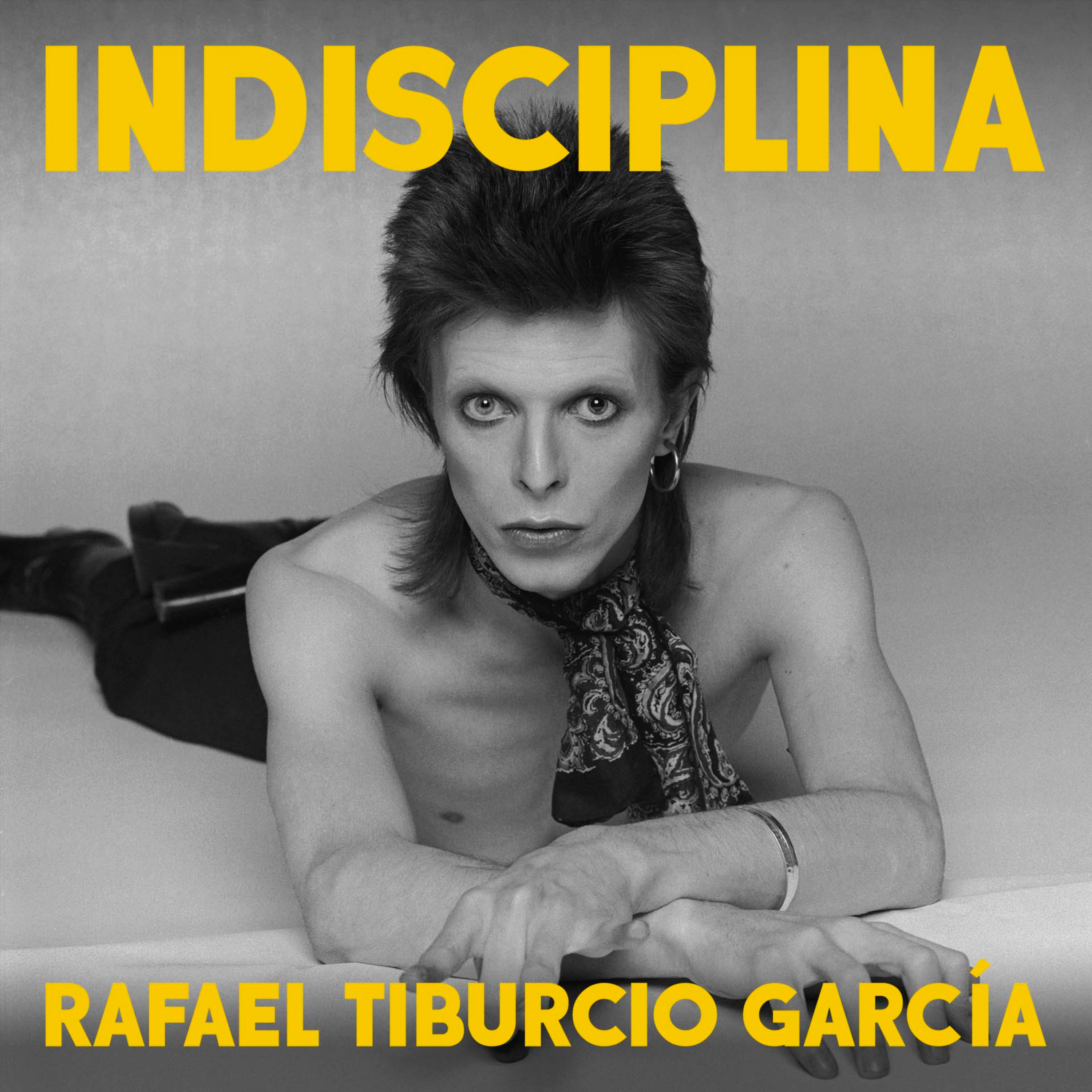 Indisciplina