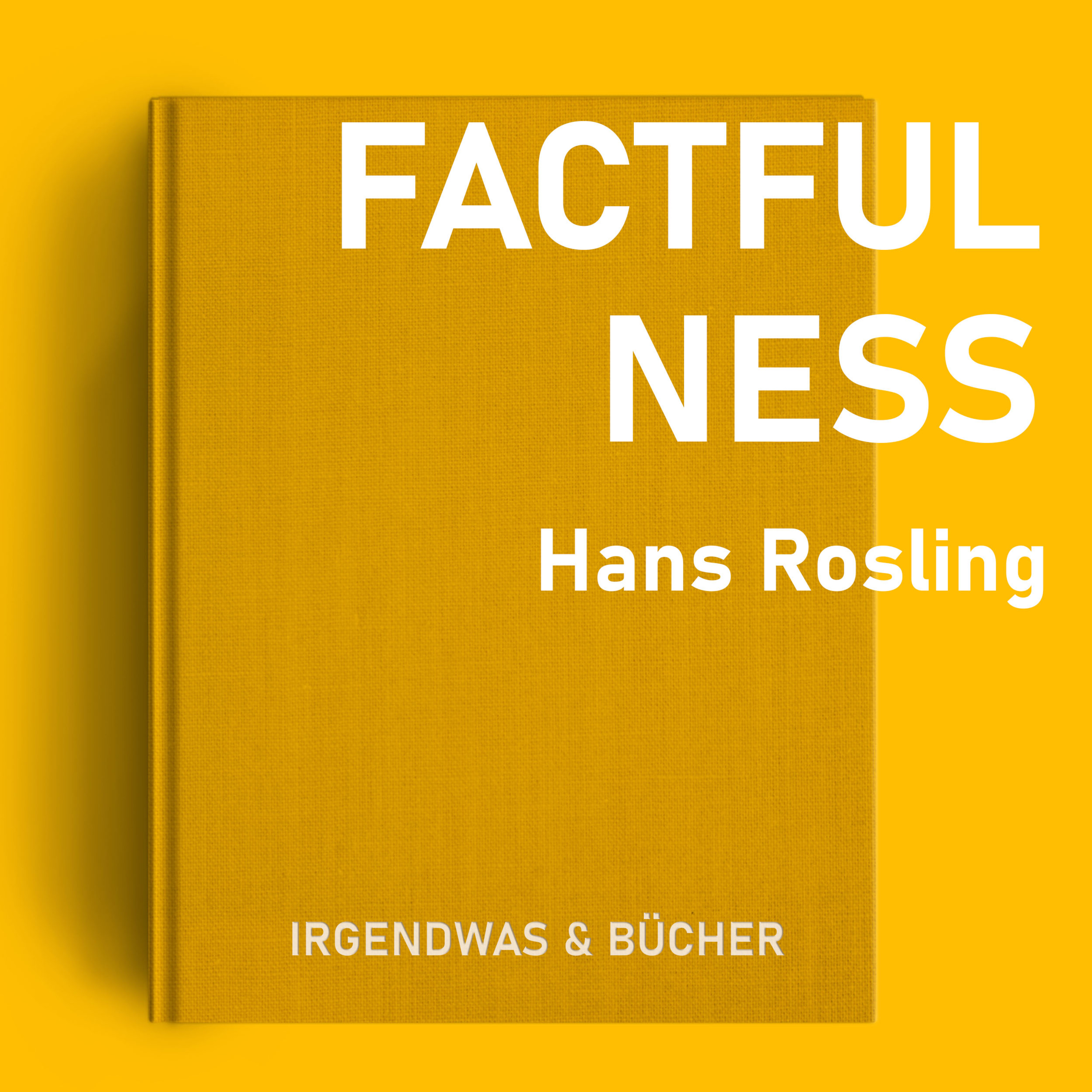 Factfulness - Kapitel 2, 3 & 4 - Der Instinkt der Negativität, geraden Linien & Angst episode artwork