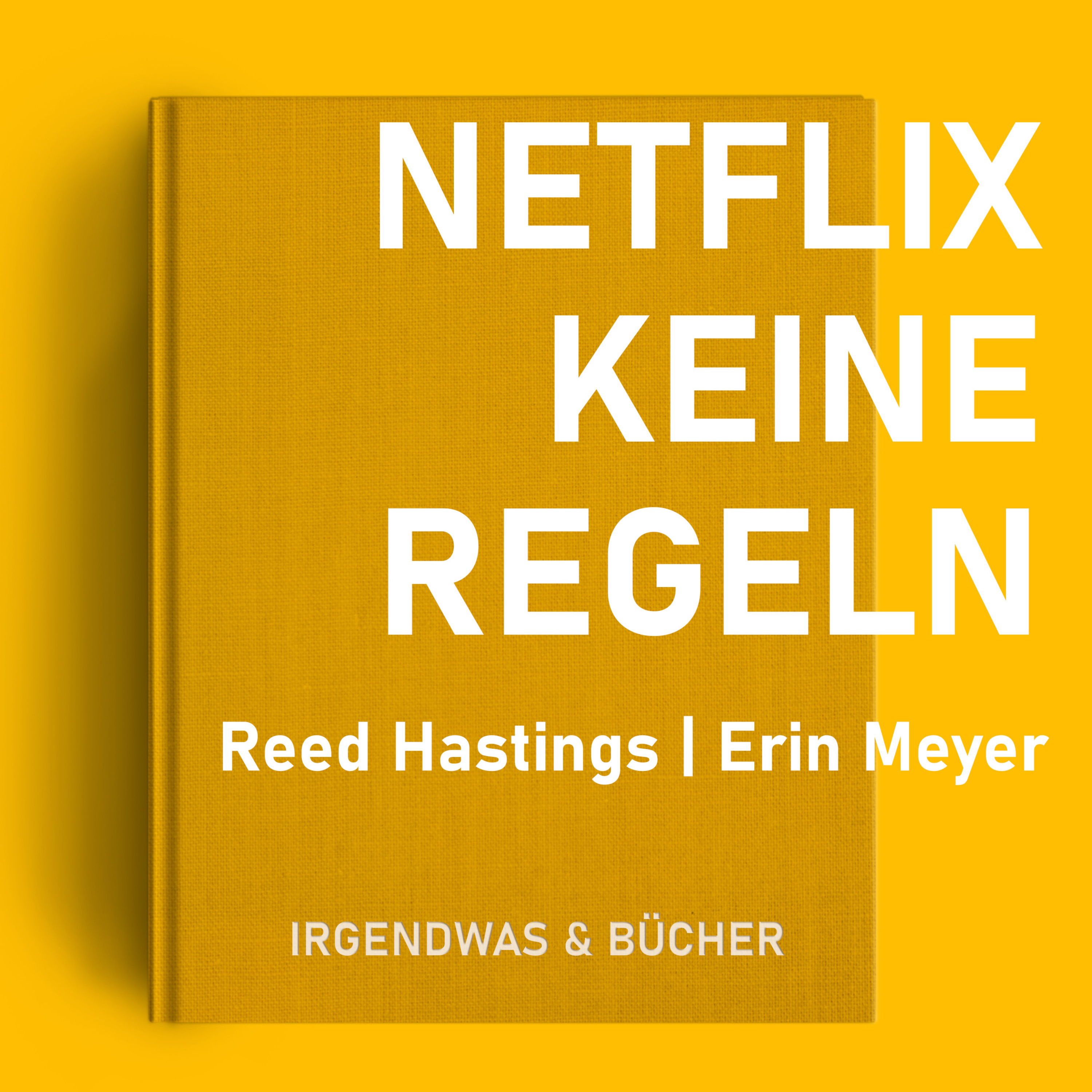 Keine Regeln - Warum Netflix so erfolgreich ist | TEIL 1: Erste Schritte episode artwork