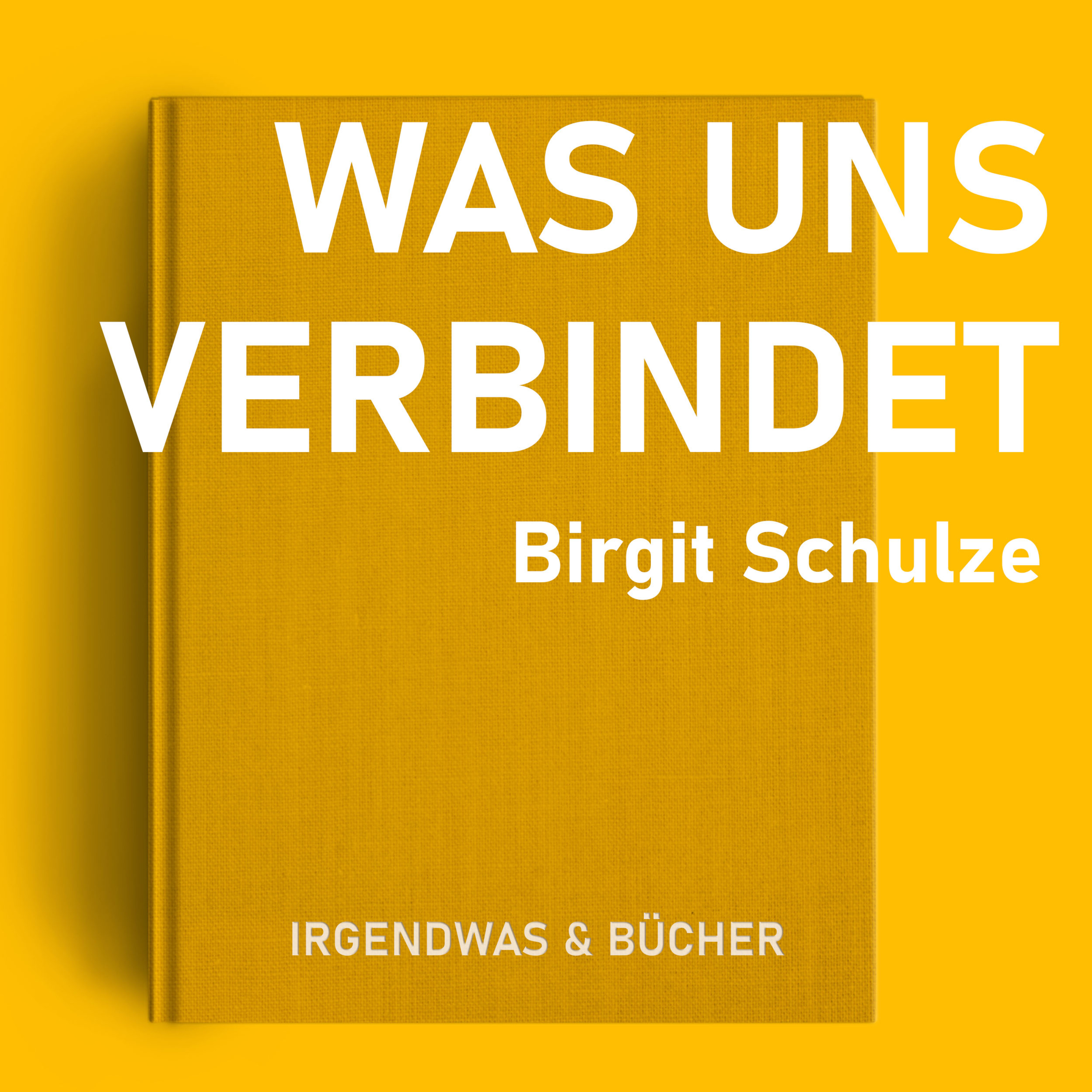 Was uns verbindet - Birgit Schulze: GfK, Aktives Zuhören & Empathie - Teil 02 episode artwork