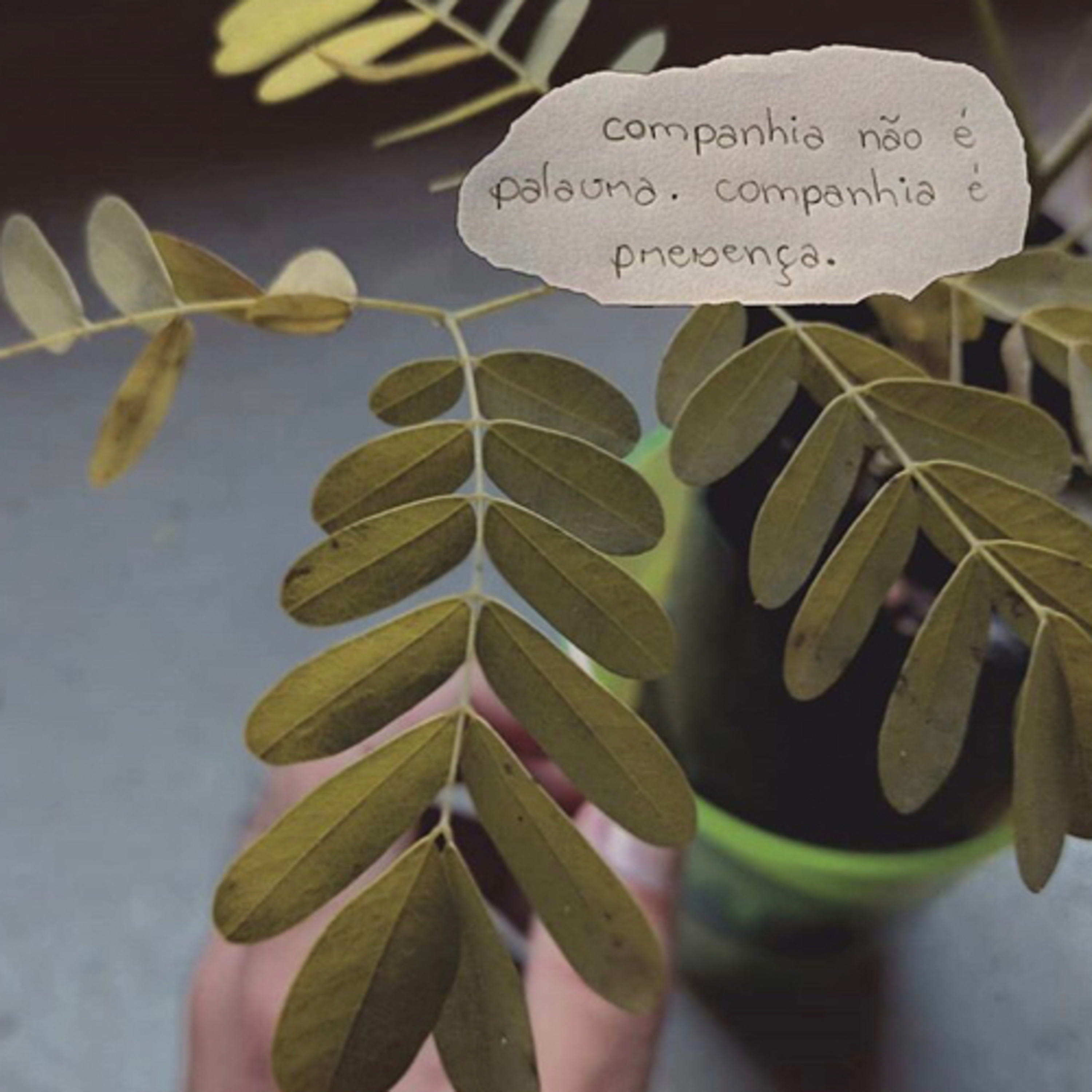 Uma vida pra chamar de poesia