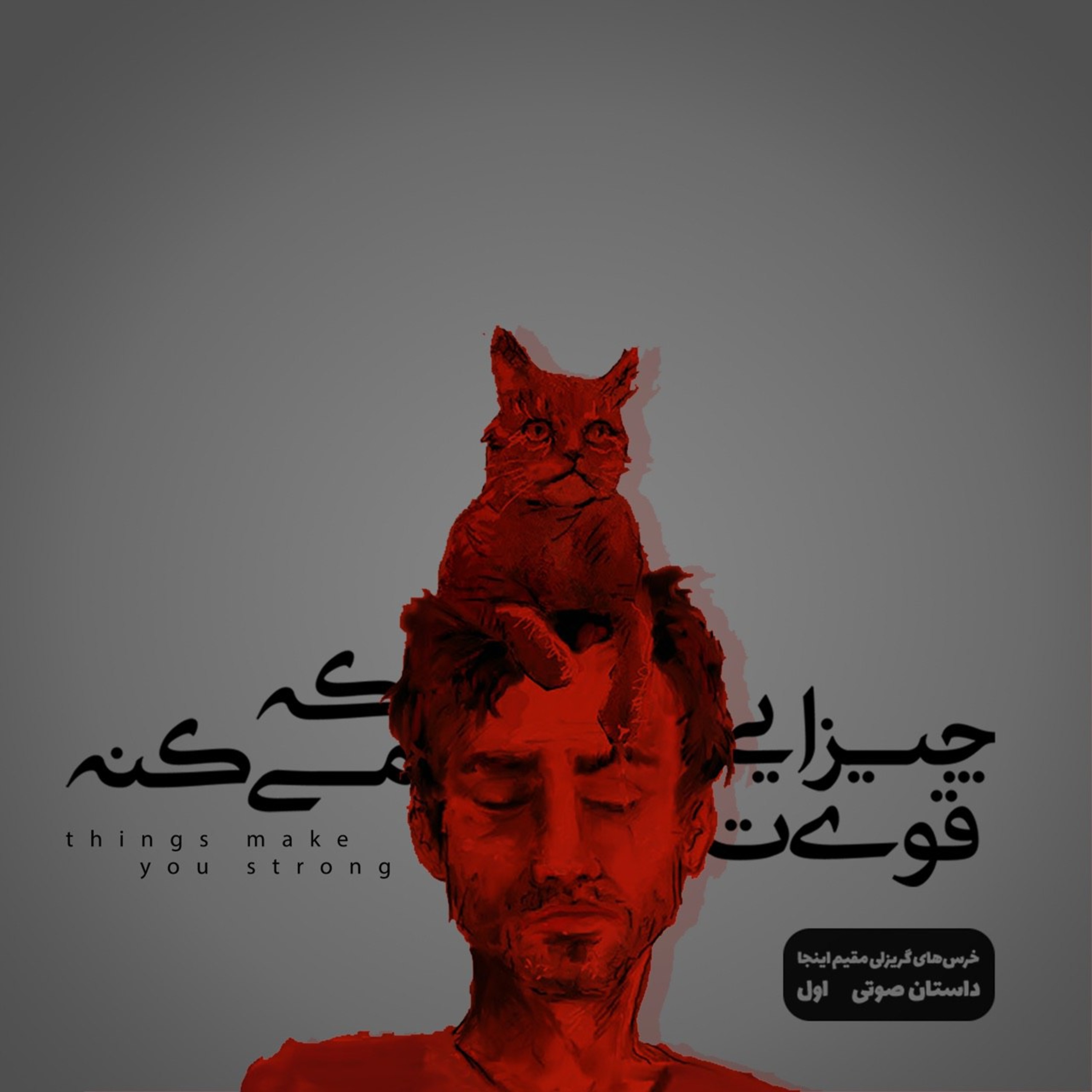 کاور داستان صوتی اول: چیزایی که قویت میکنه