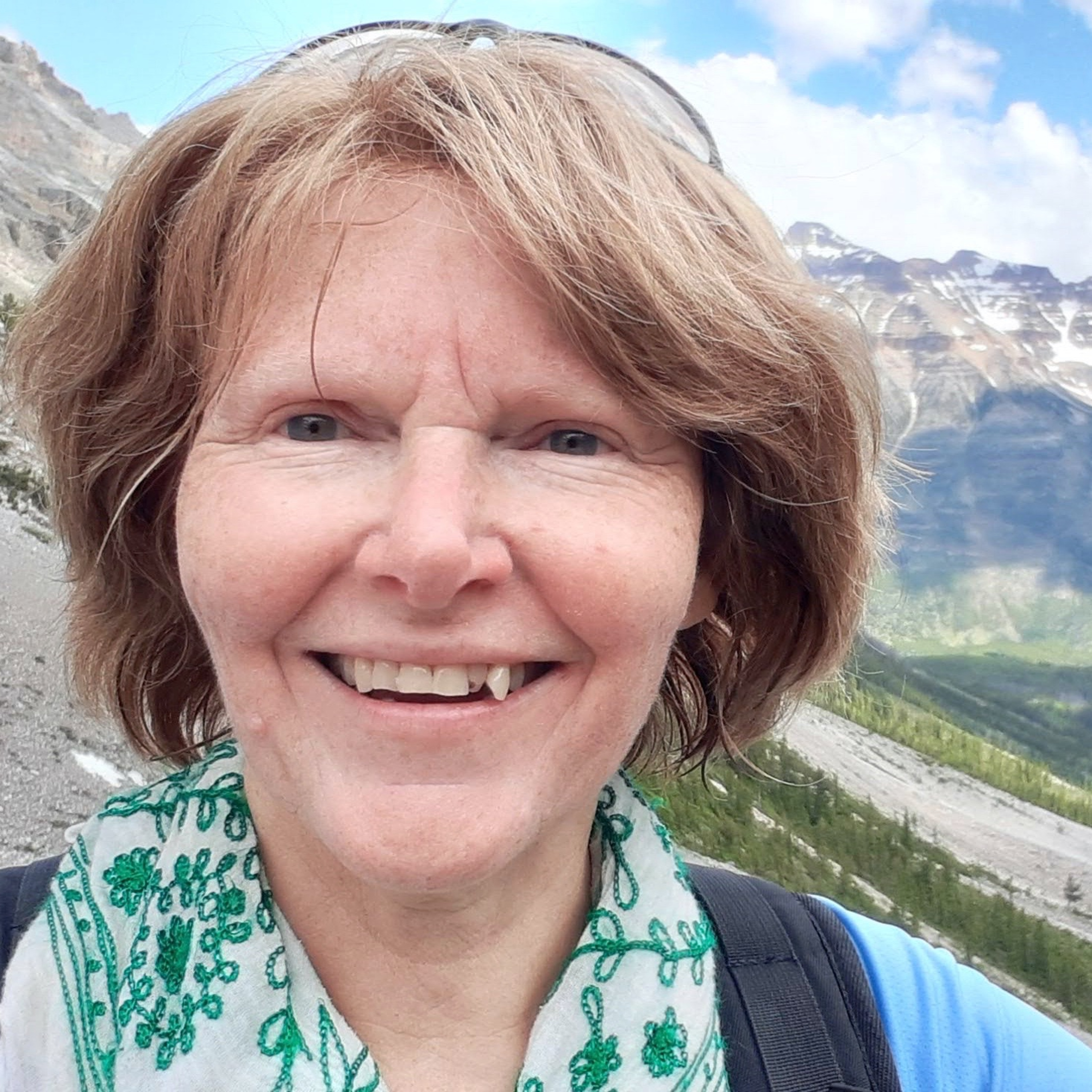 WMN Canada - Women\'s Mentoring Network Canada