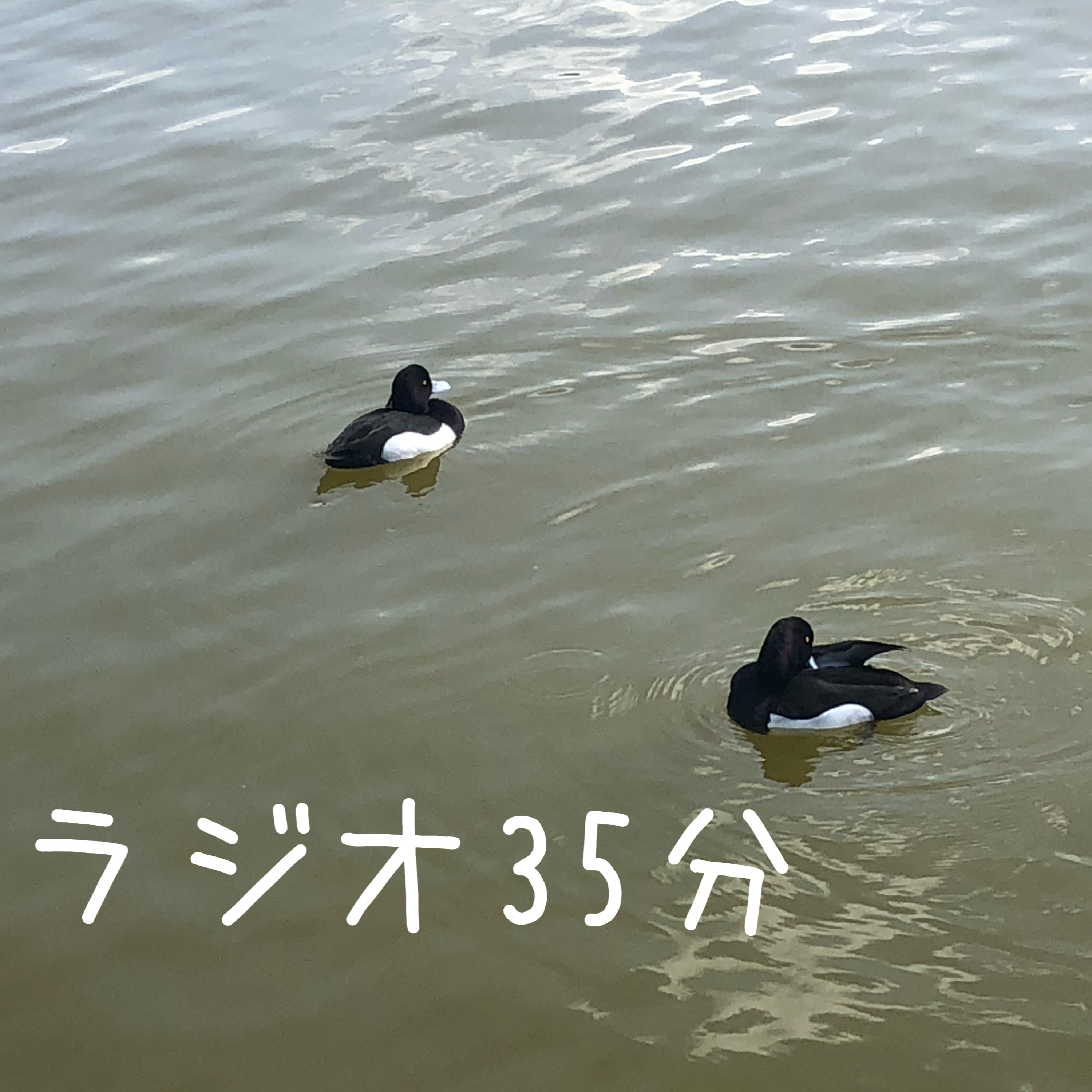 第7回ラジオ35分