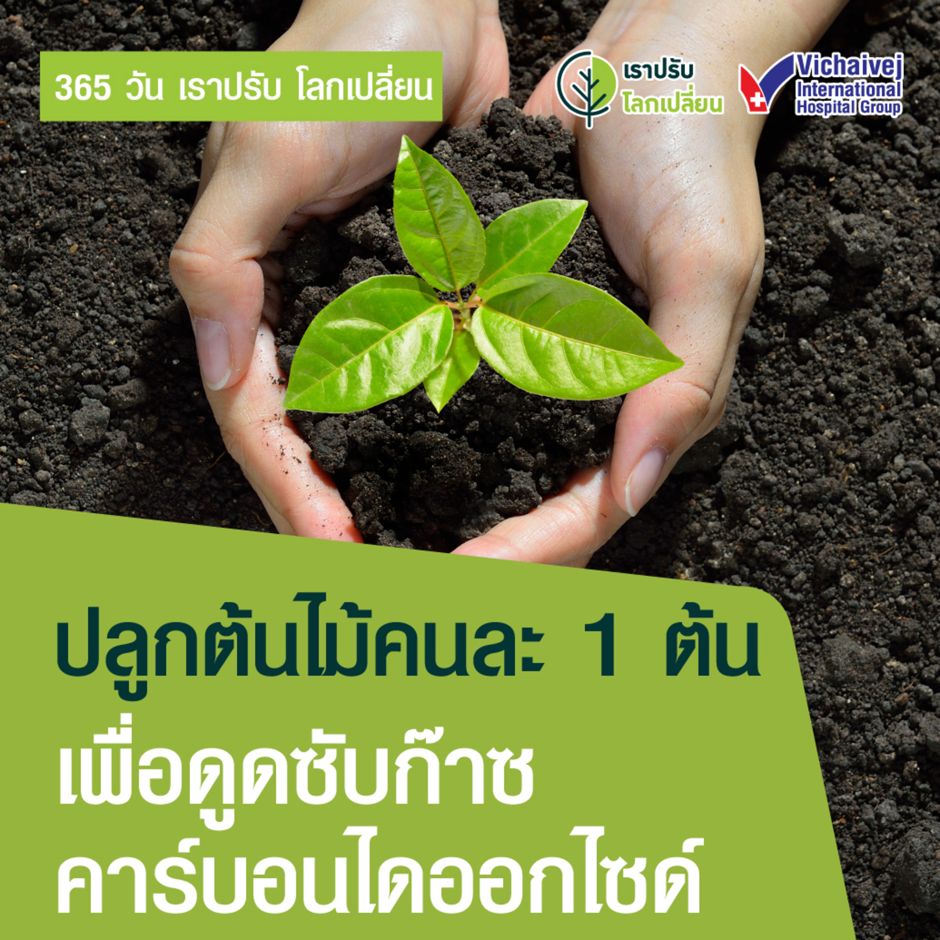 "ปลูกต้นไม้คนละ1ต้นเพื่อดูดซับก๊าซคาร์บอนไดออกไซด์" ในโครงการ 365 วันเราปรับ โลกเปลี่ยน โดยกลุ่มโรงพยาบาลวิชัยเวช episode artwork