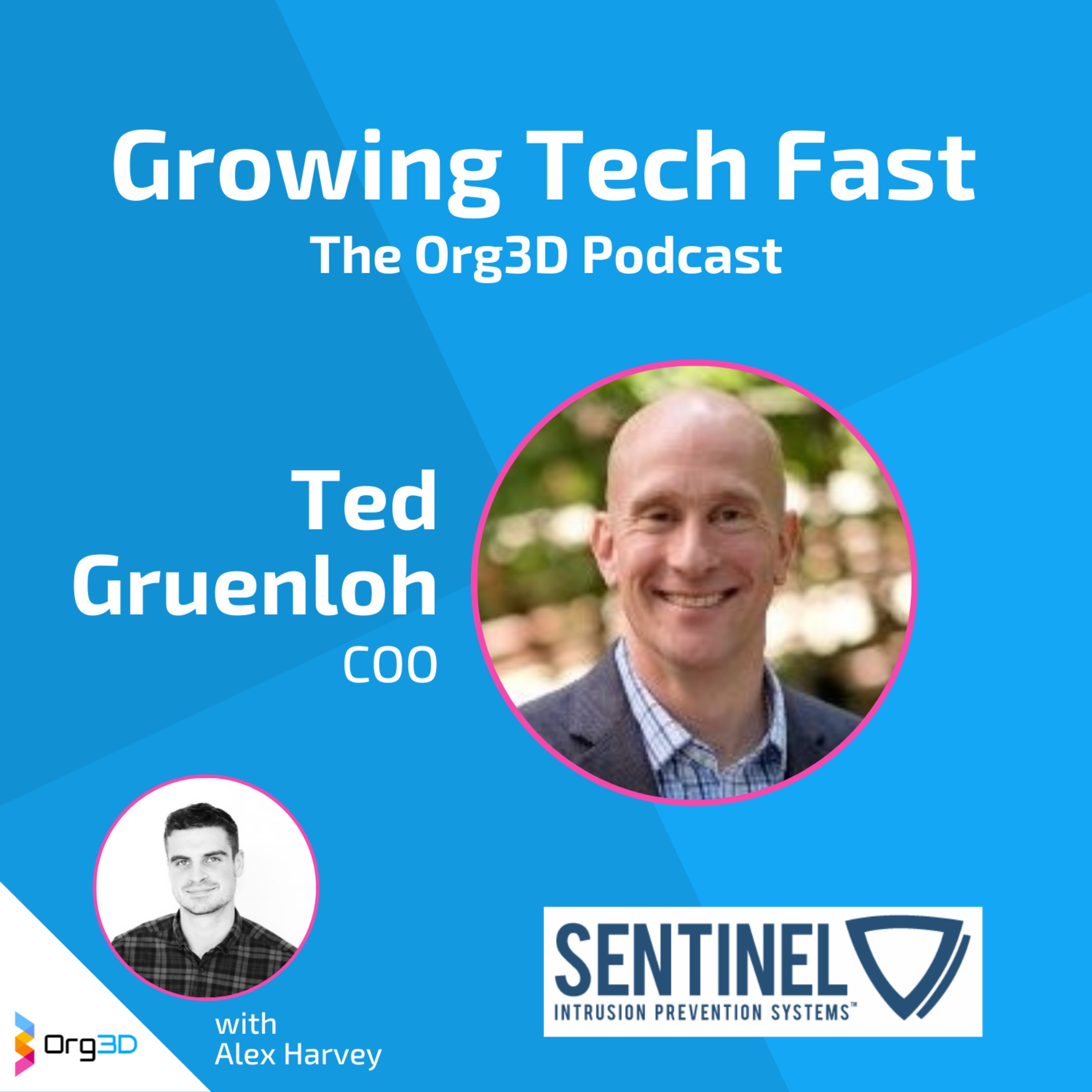 Growing Tech Fast - The Org3D Podcast
