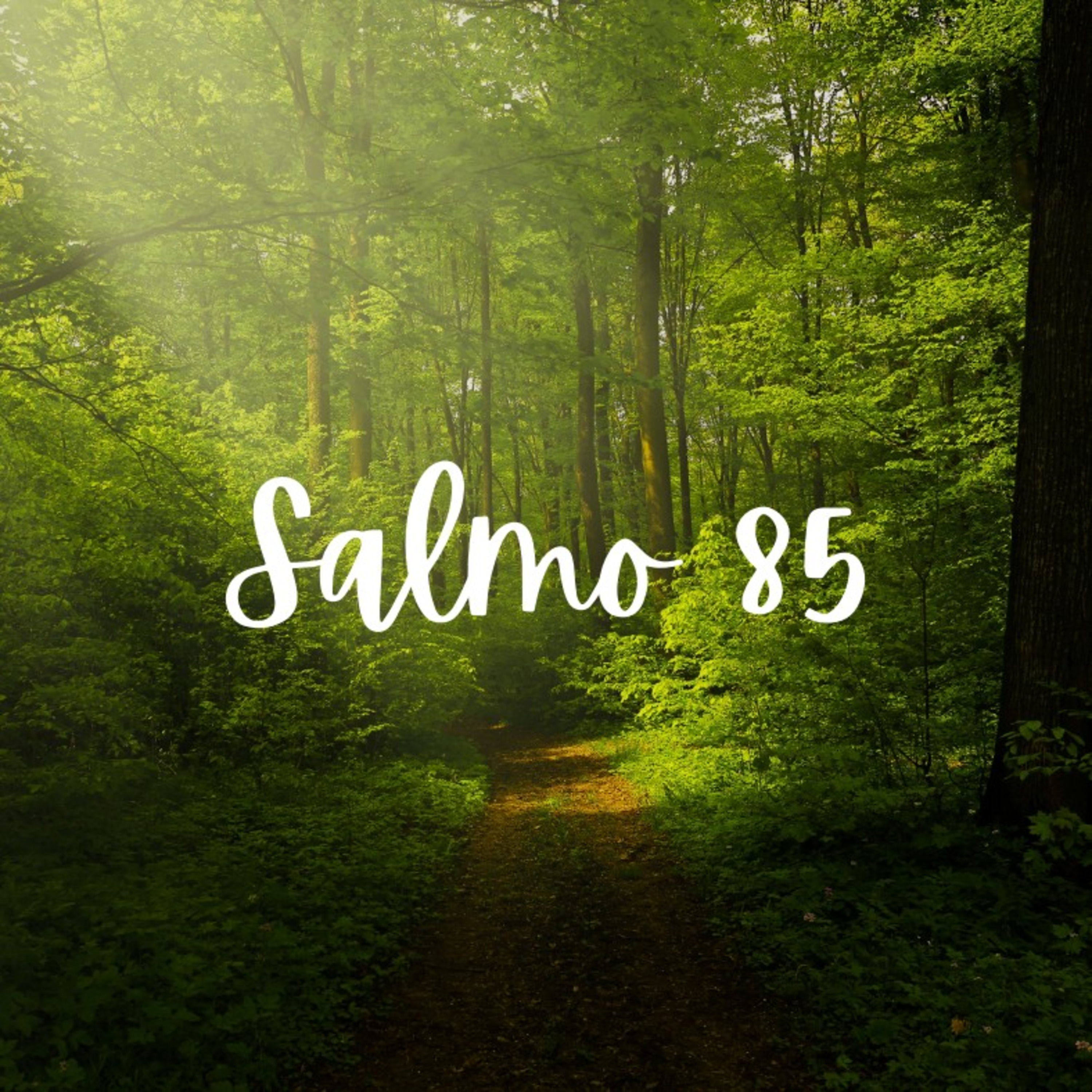 Salmo 85 - Lectura Del Libro De Los Salmos episode artwork