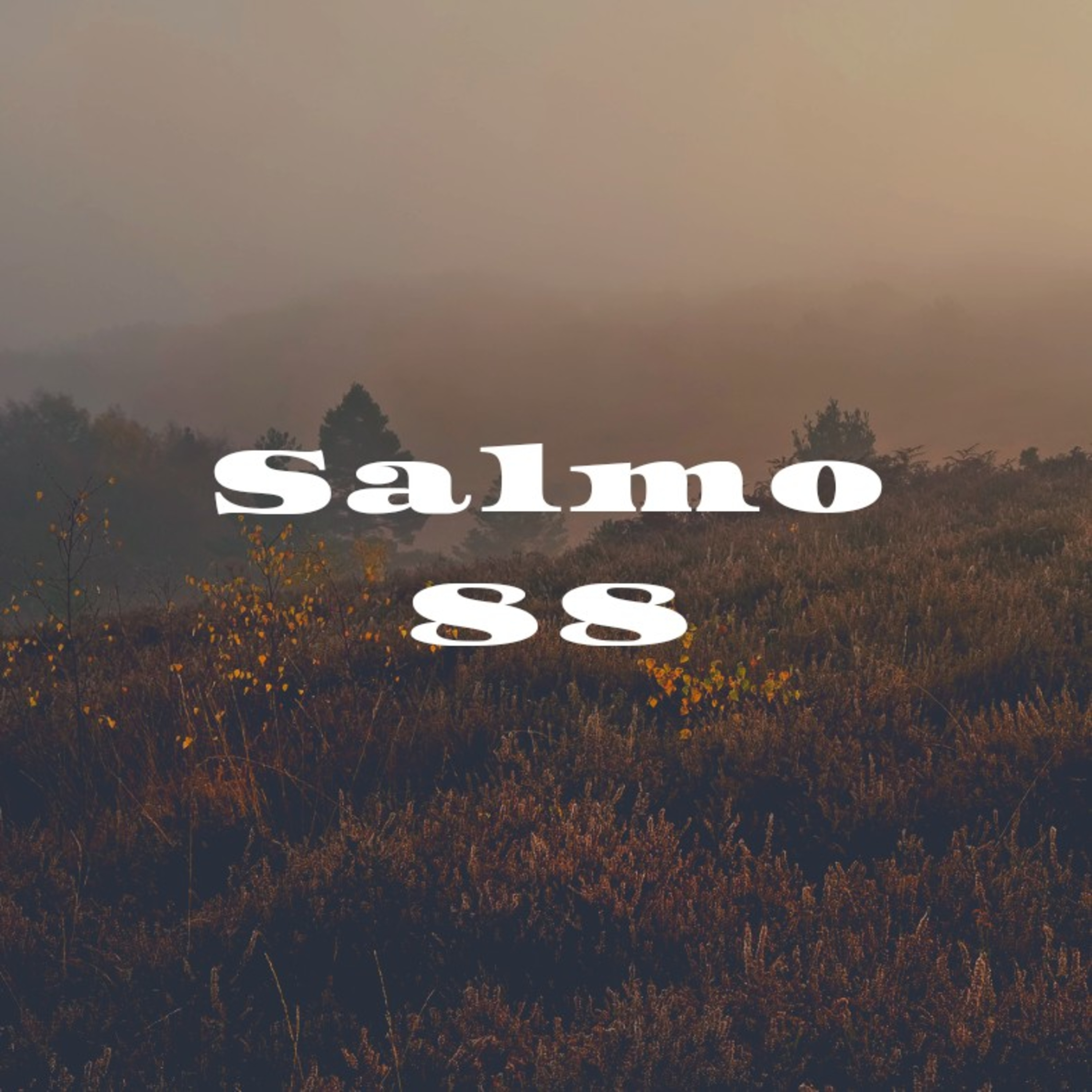 Salmo 88- Lectura Del Libro De Los Salmos episode artwork