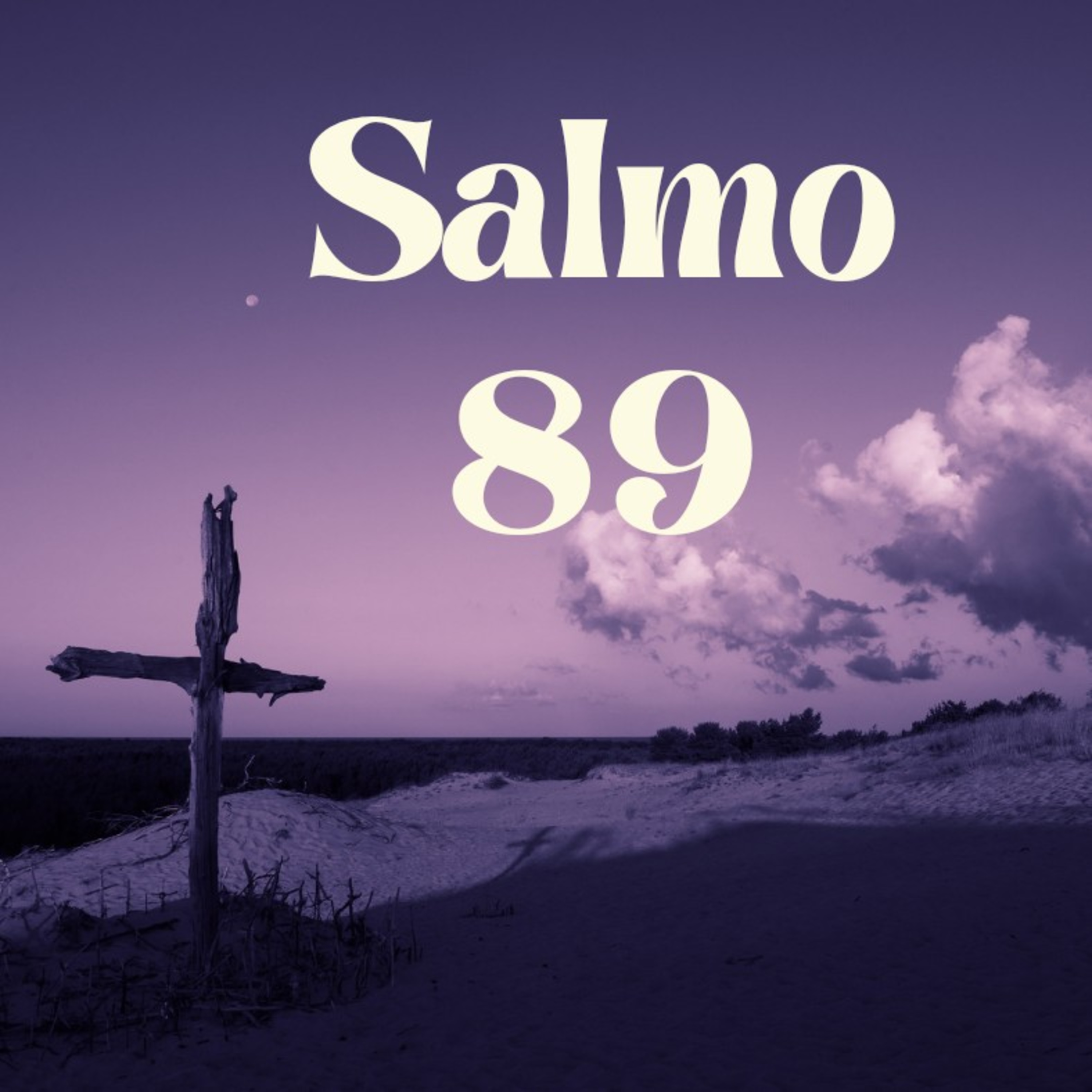 Salmo 89- Lectura Del Libro De Los Salmos episode artwork