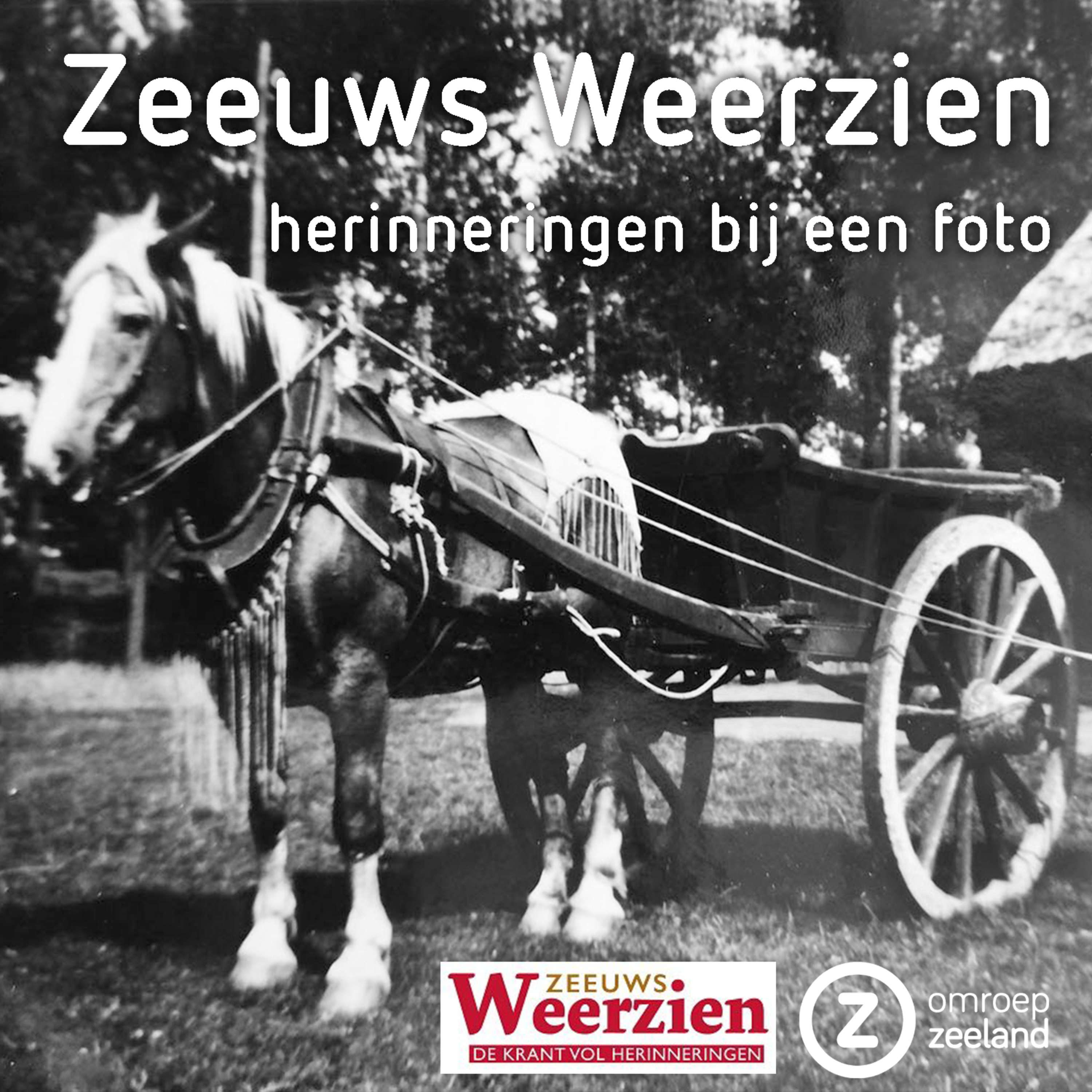 Zeeuws Weerzien
