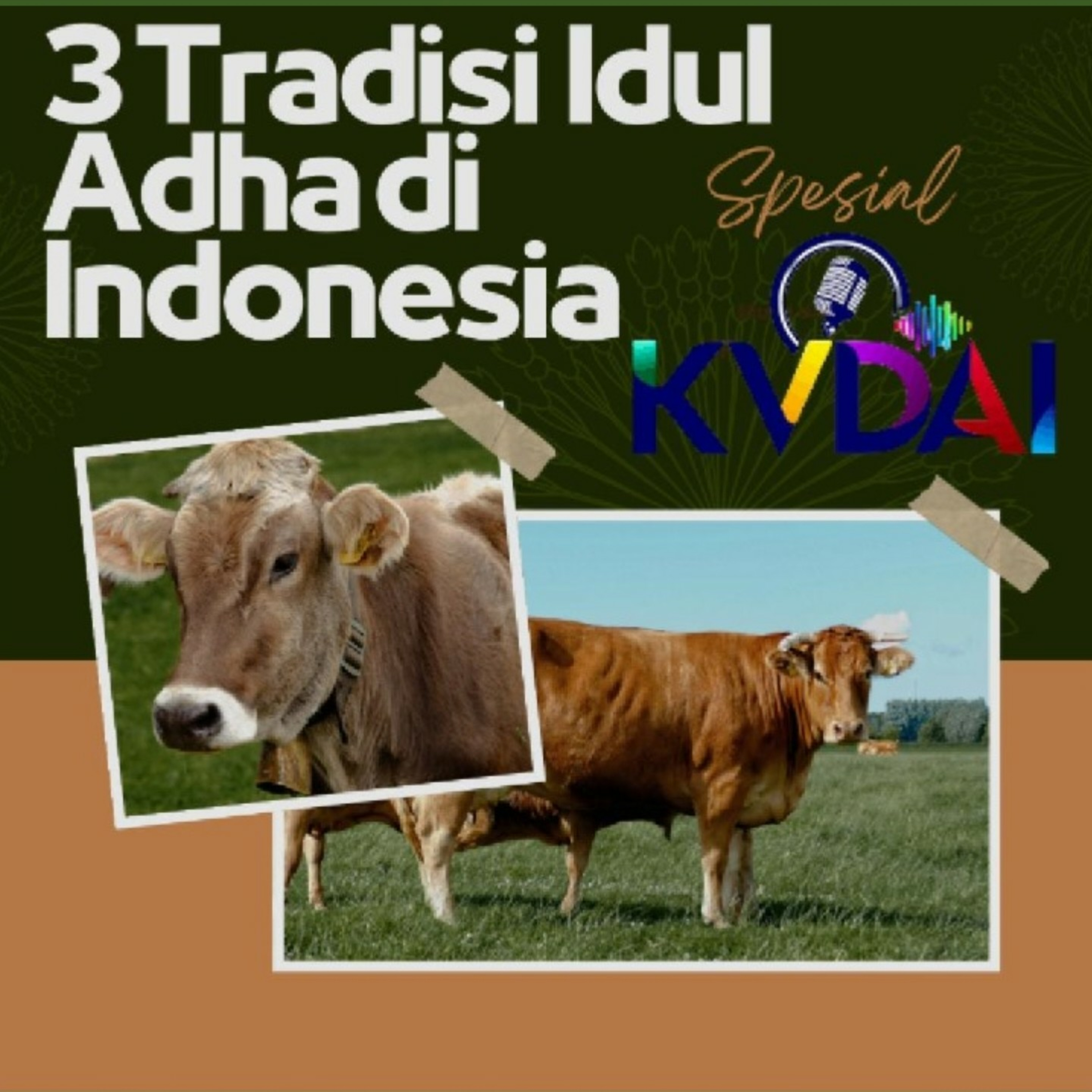 KVDAI