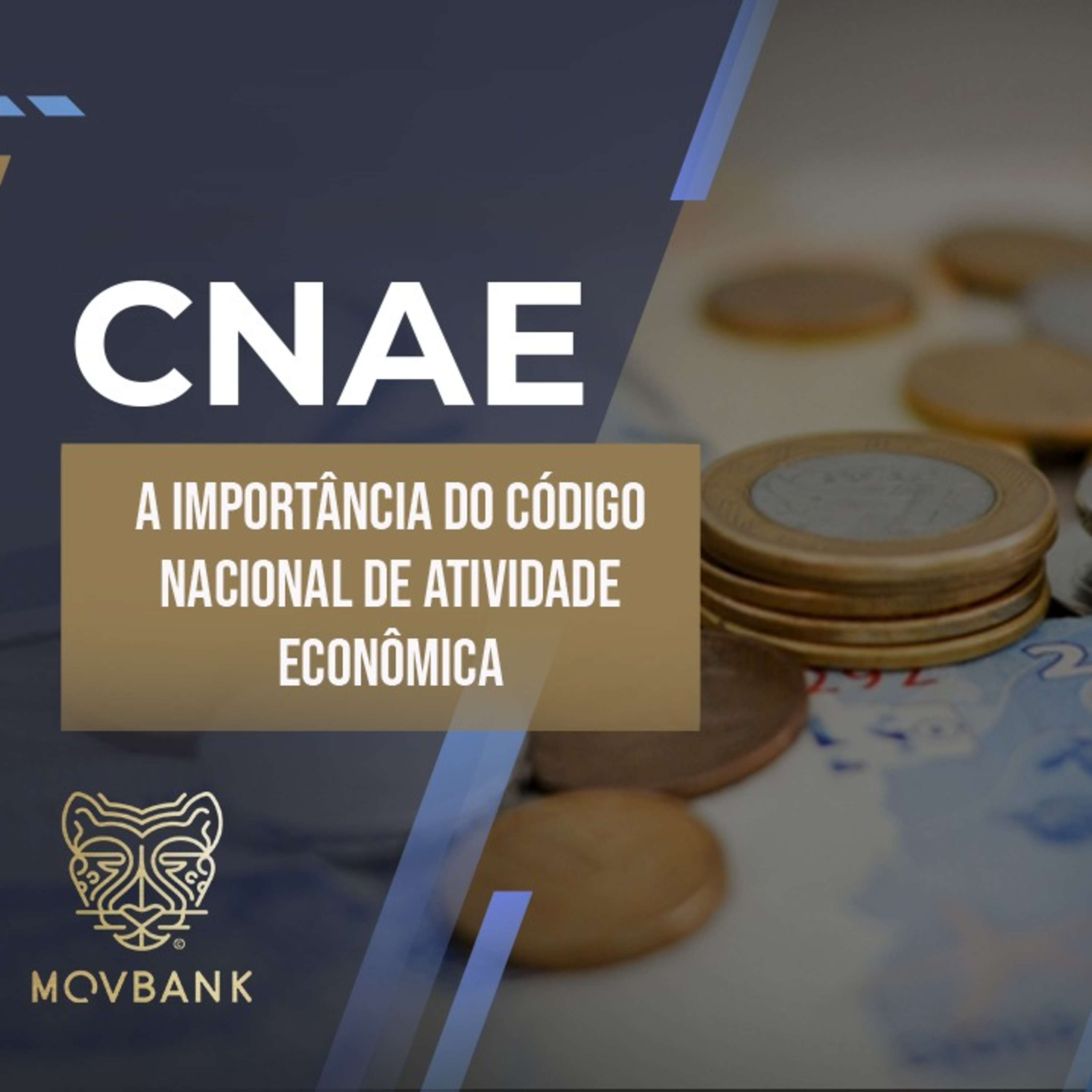 A importância do CNAI - Ep. 02