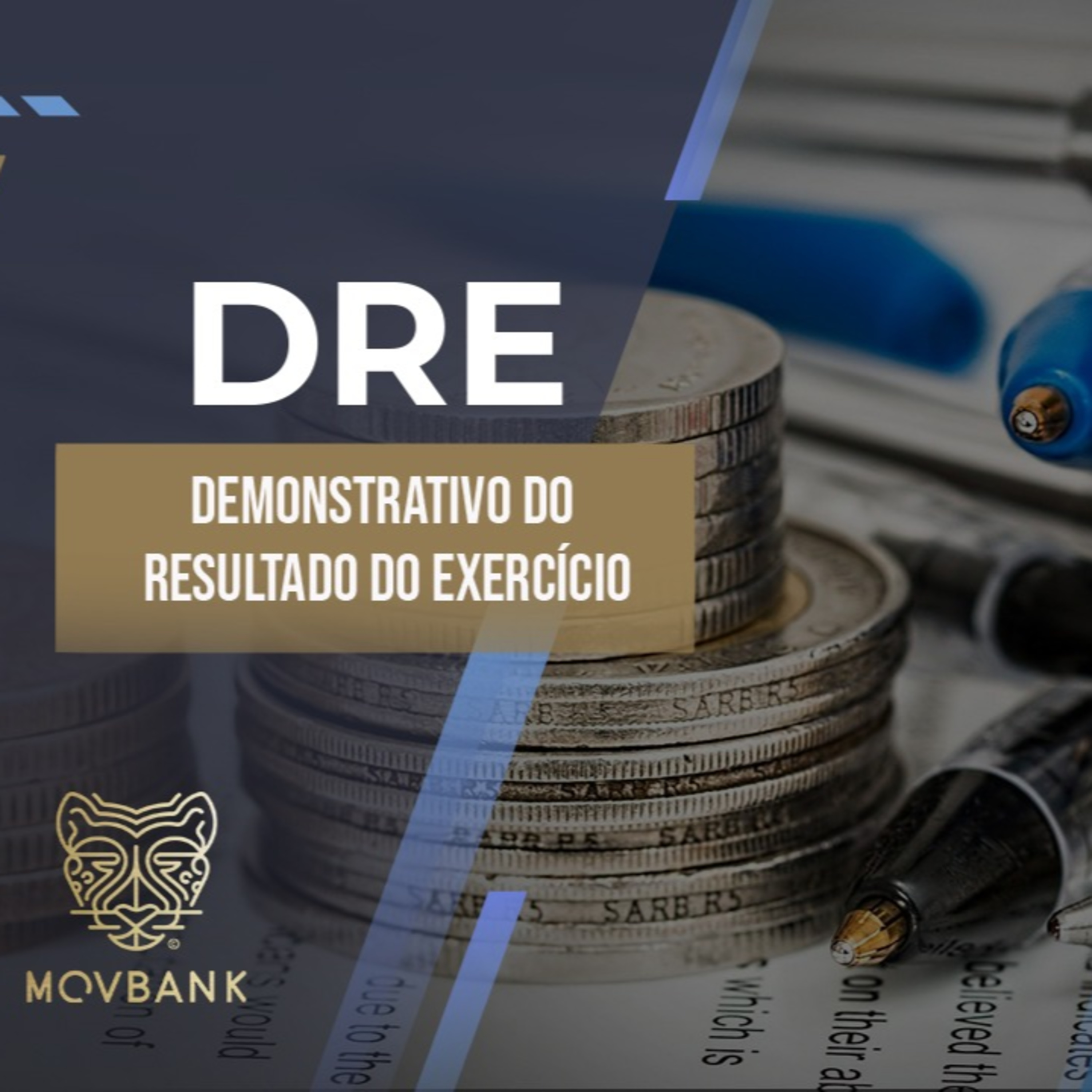 Demonstrativo do resultado do exercício (DRE) - Ep. 03
