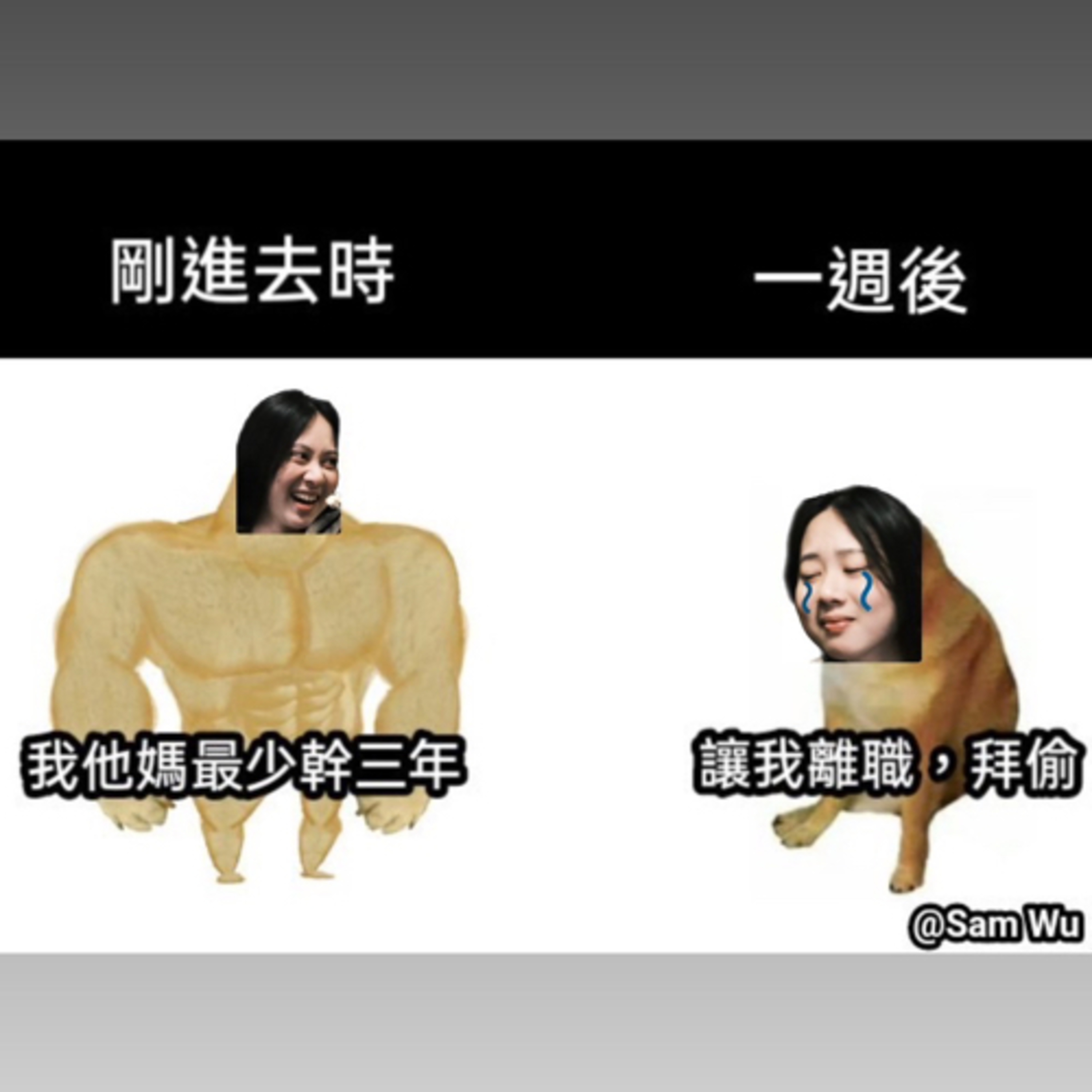 #101 ㄧ時辭職,ㄧ時爽。一直辭職,一直爽 by 剛成為失業人士的魚鳥