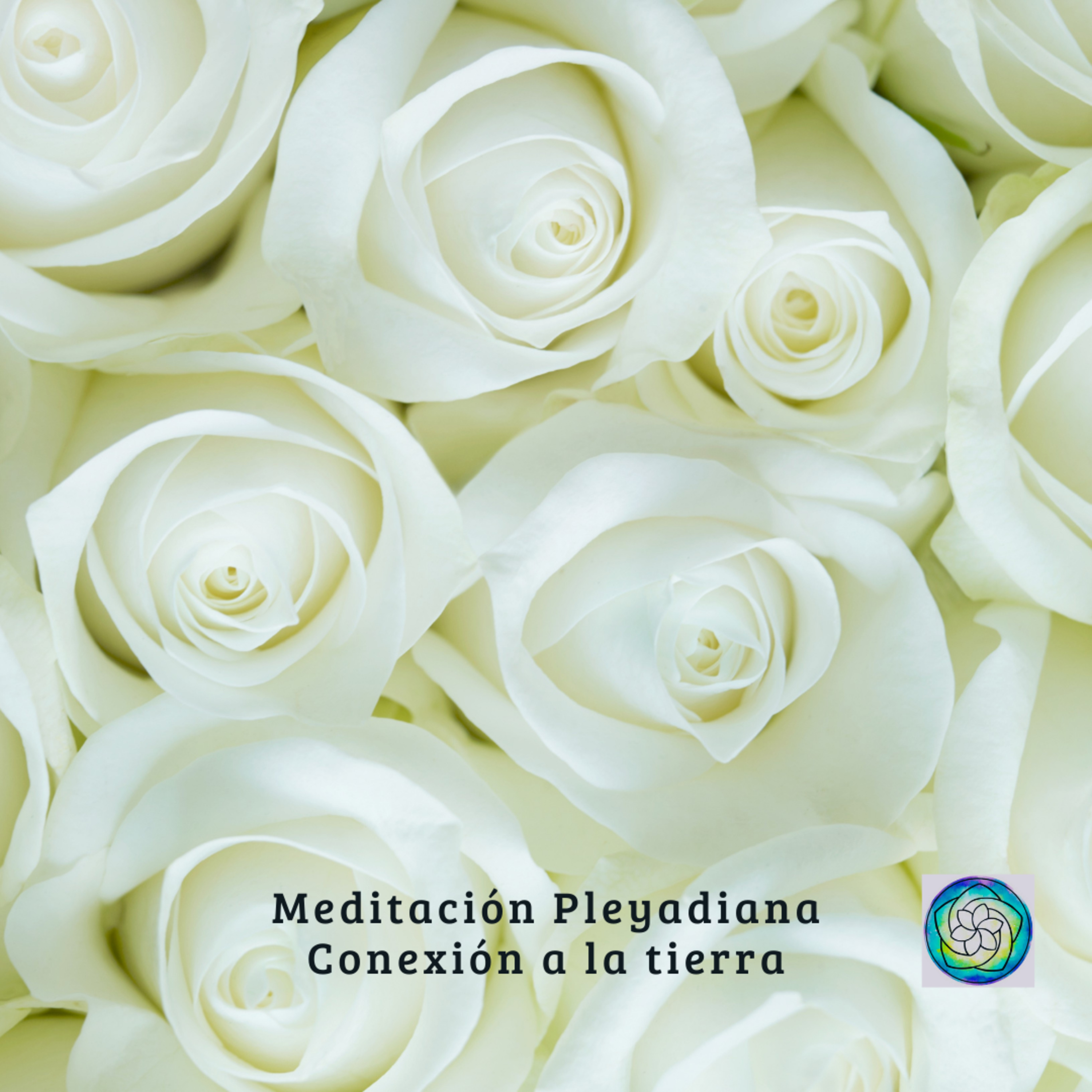 Flor de Vibración