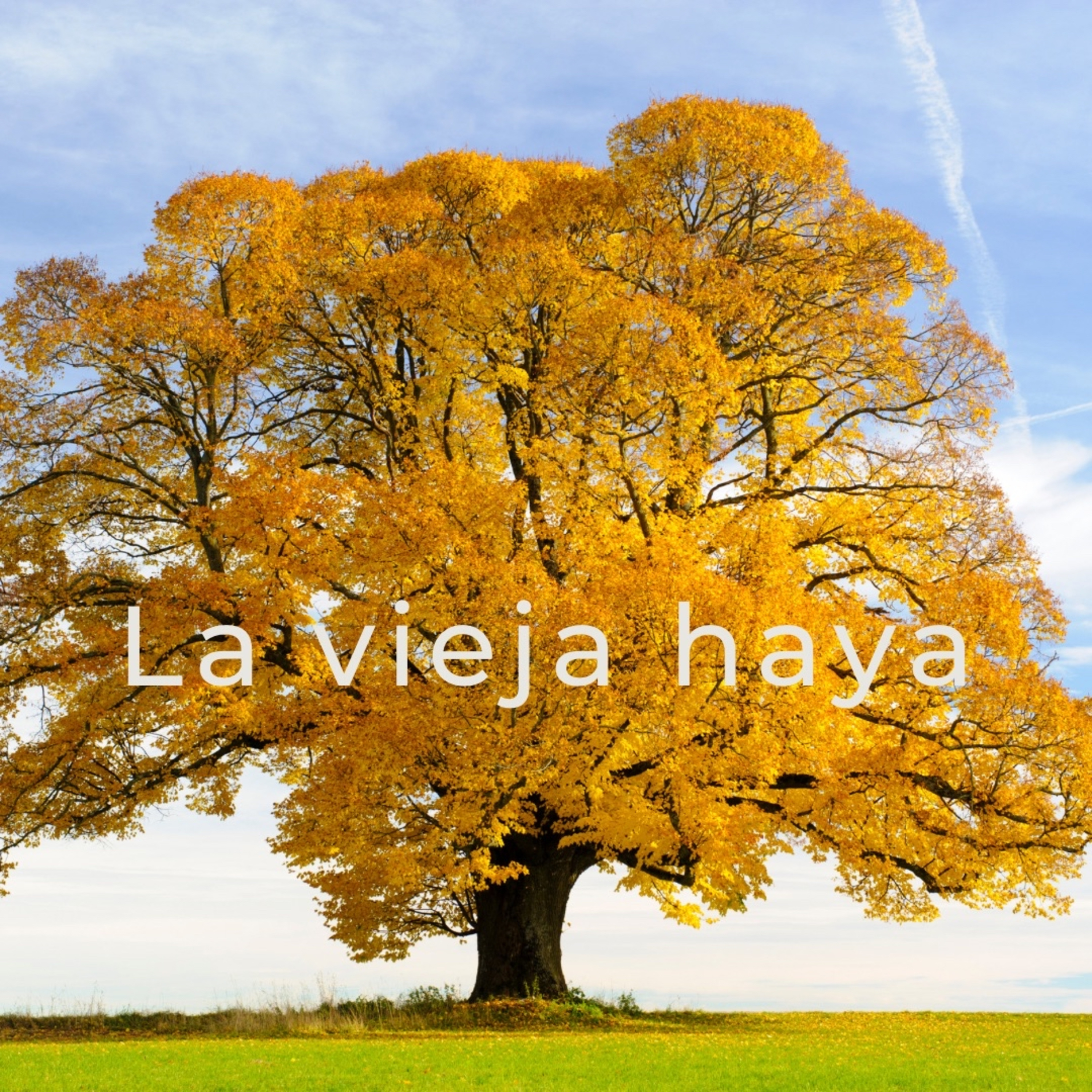 Cuentos para Valentín y Manuel