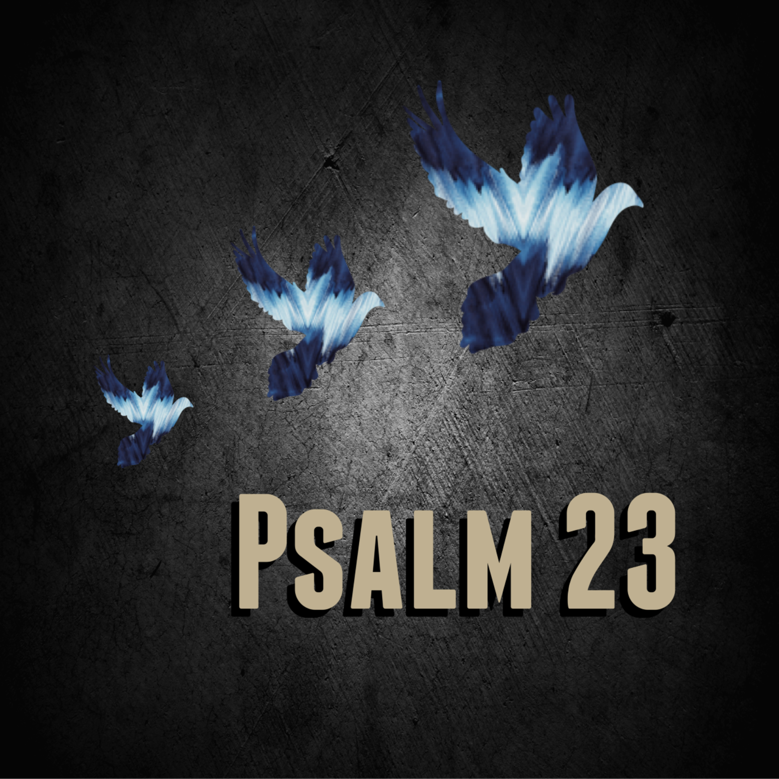 Psalm 23 episode artwork