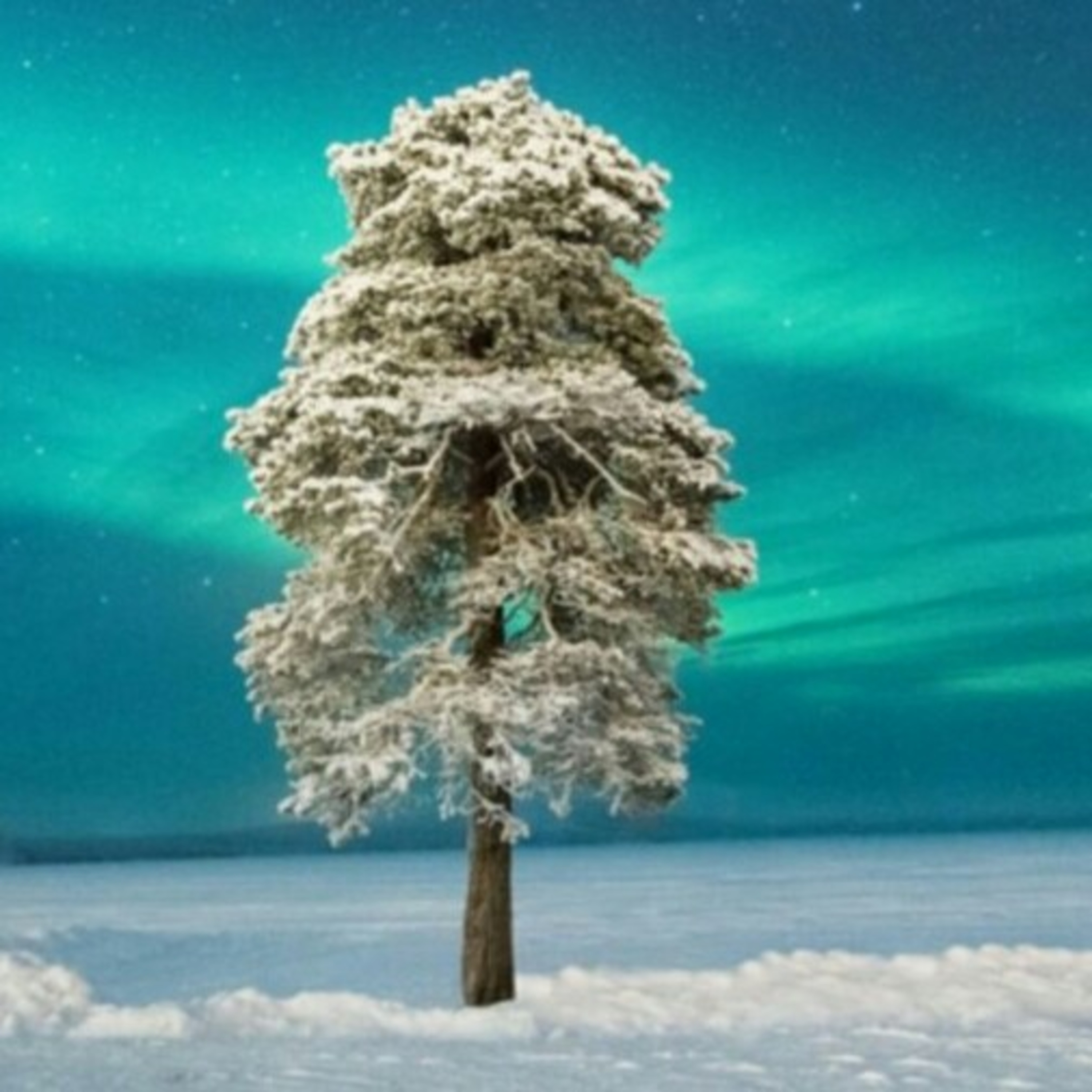 Un Poco de Poesia Y Mucho Amor.