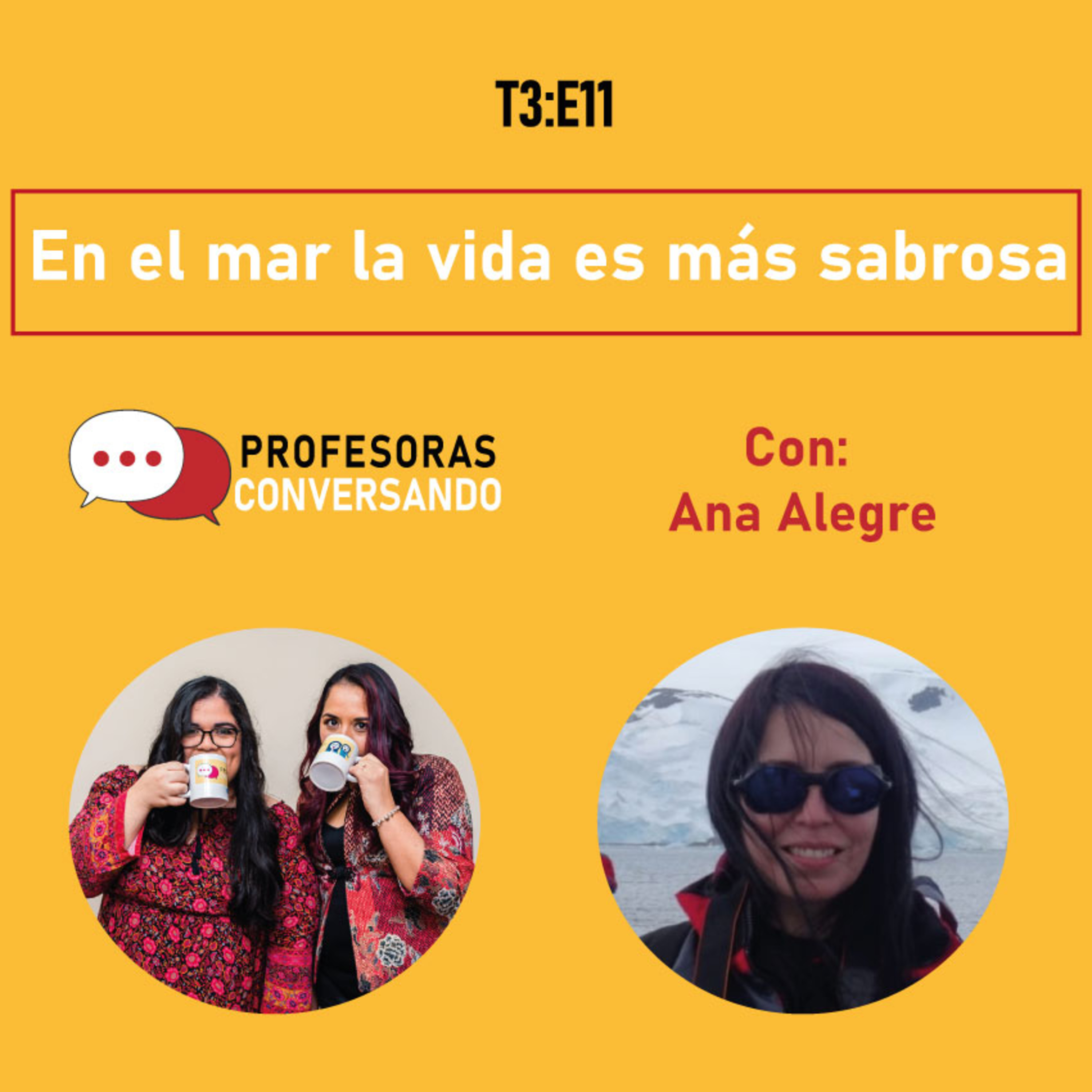 Profesoras Conversando