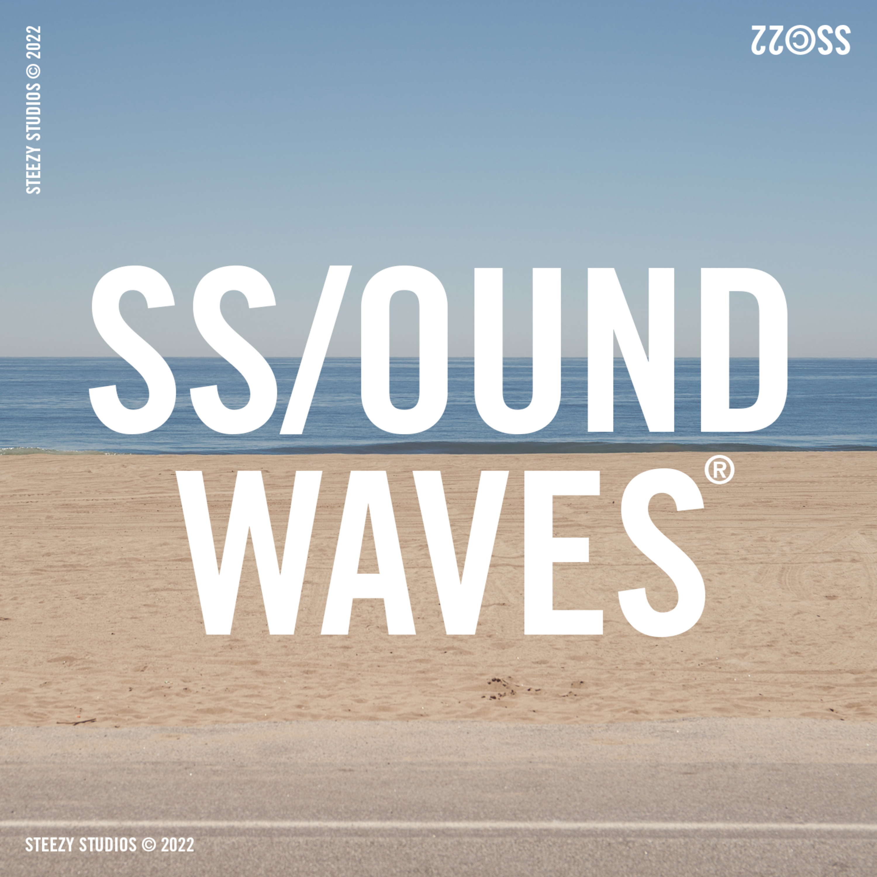 SS/OUND WAVES®