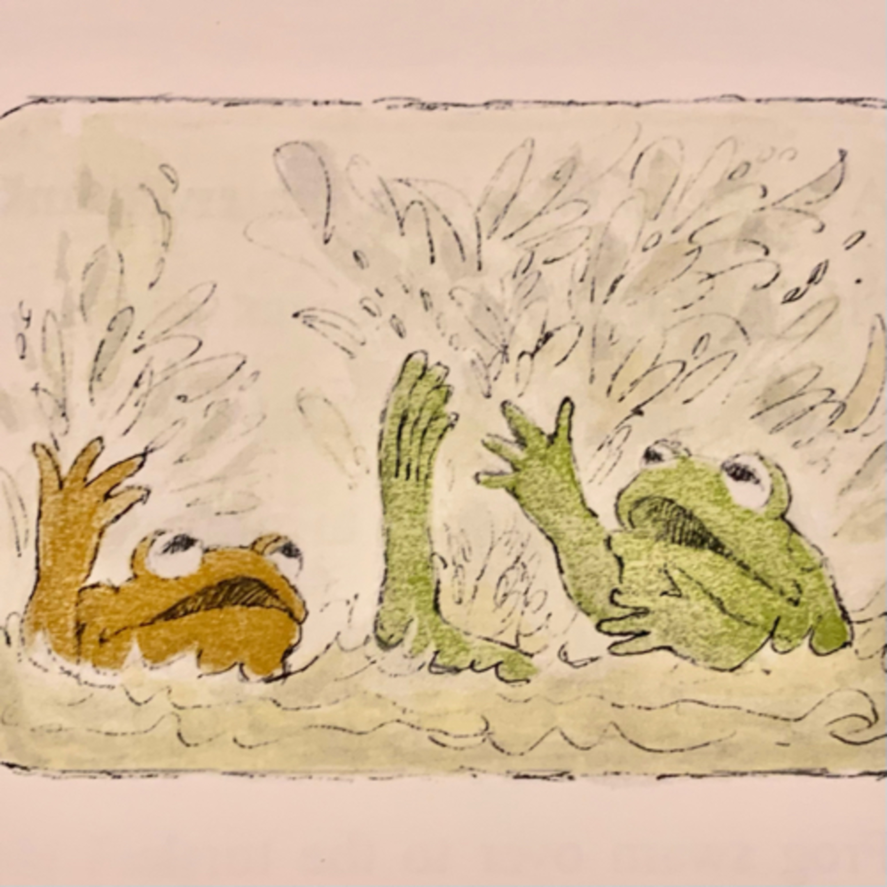 5)Frog and Toad are friends 