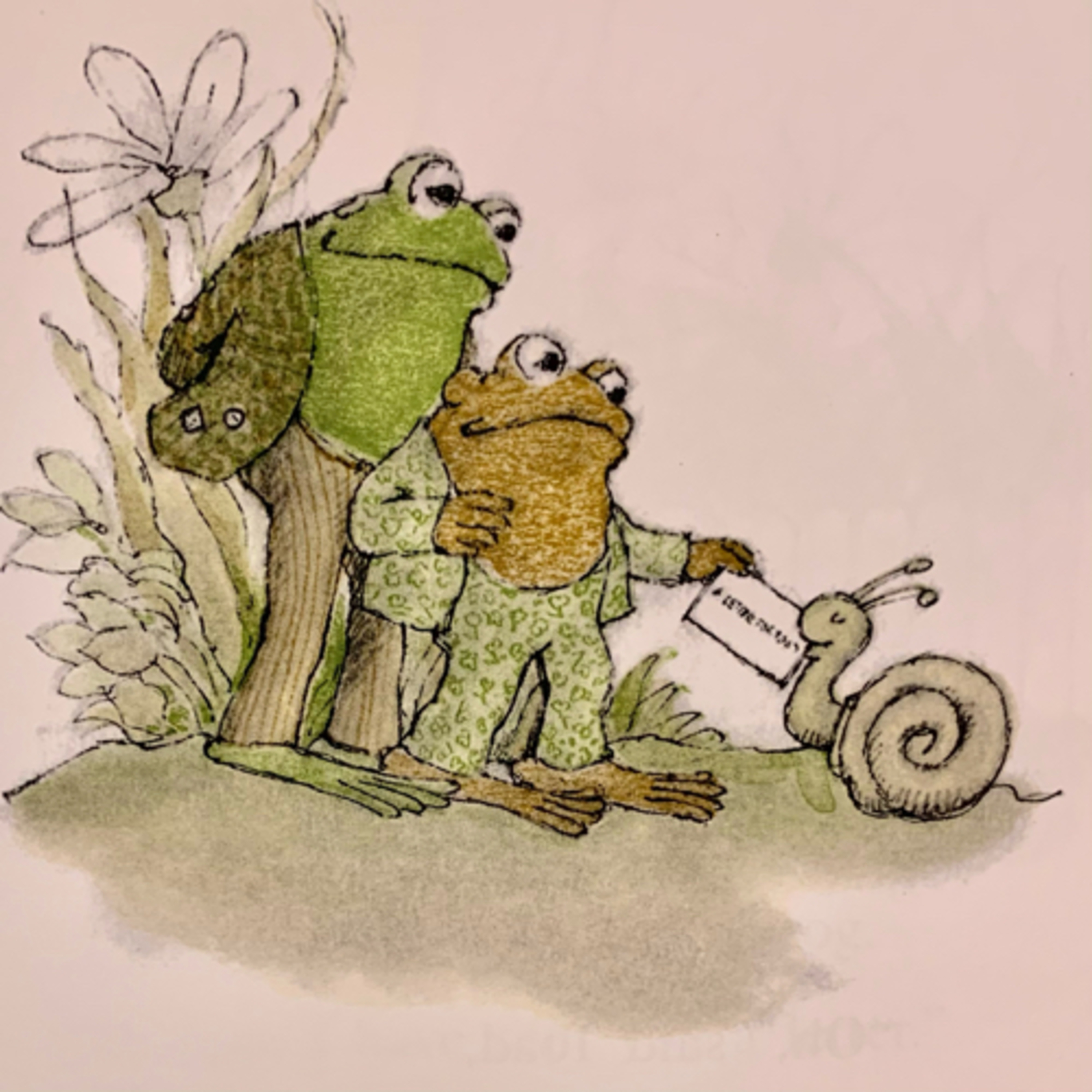 6)Frog and Toad are friends 