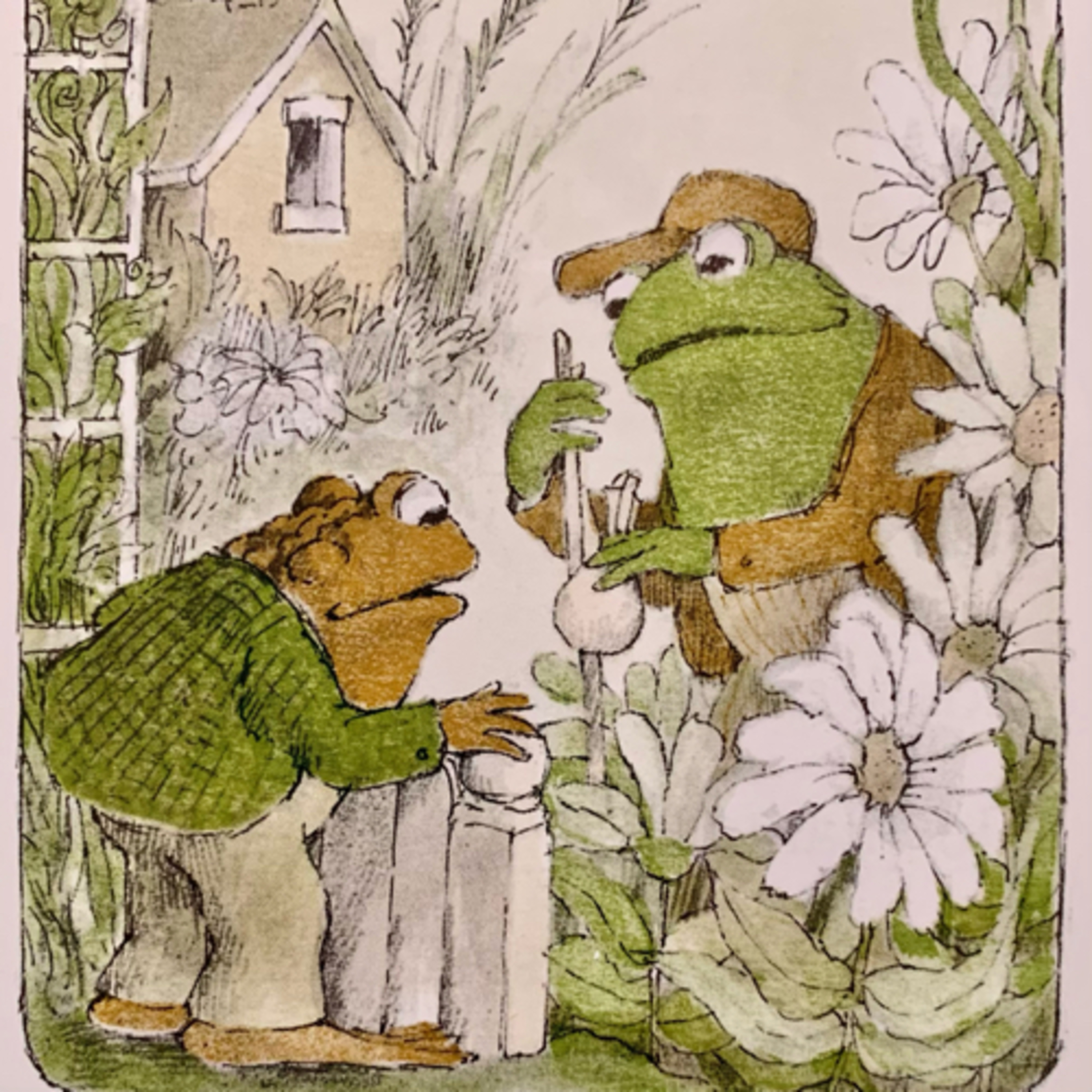 8)Frog and Toad together 