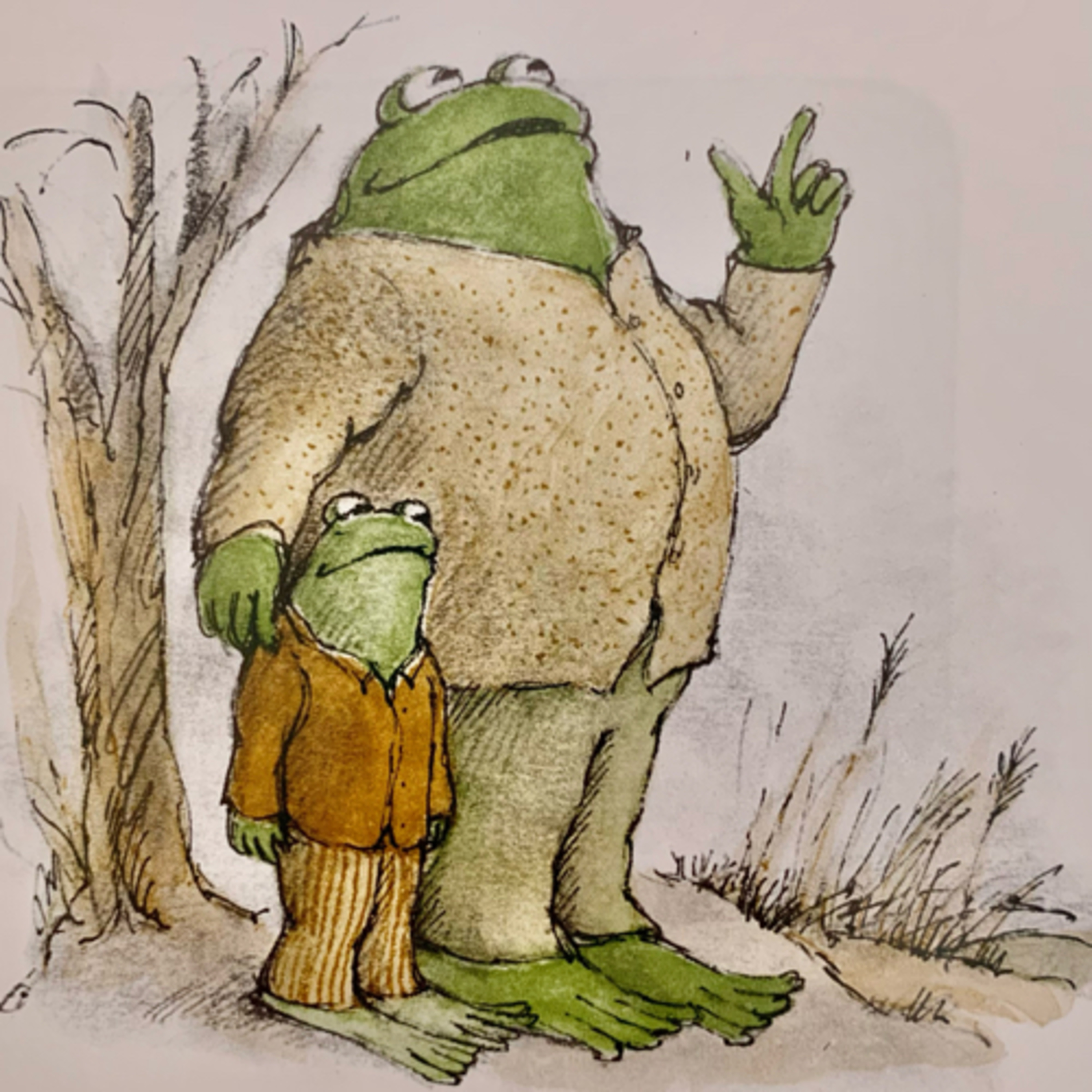 14)Frog and Toad all year 