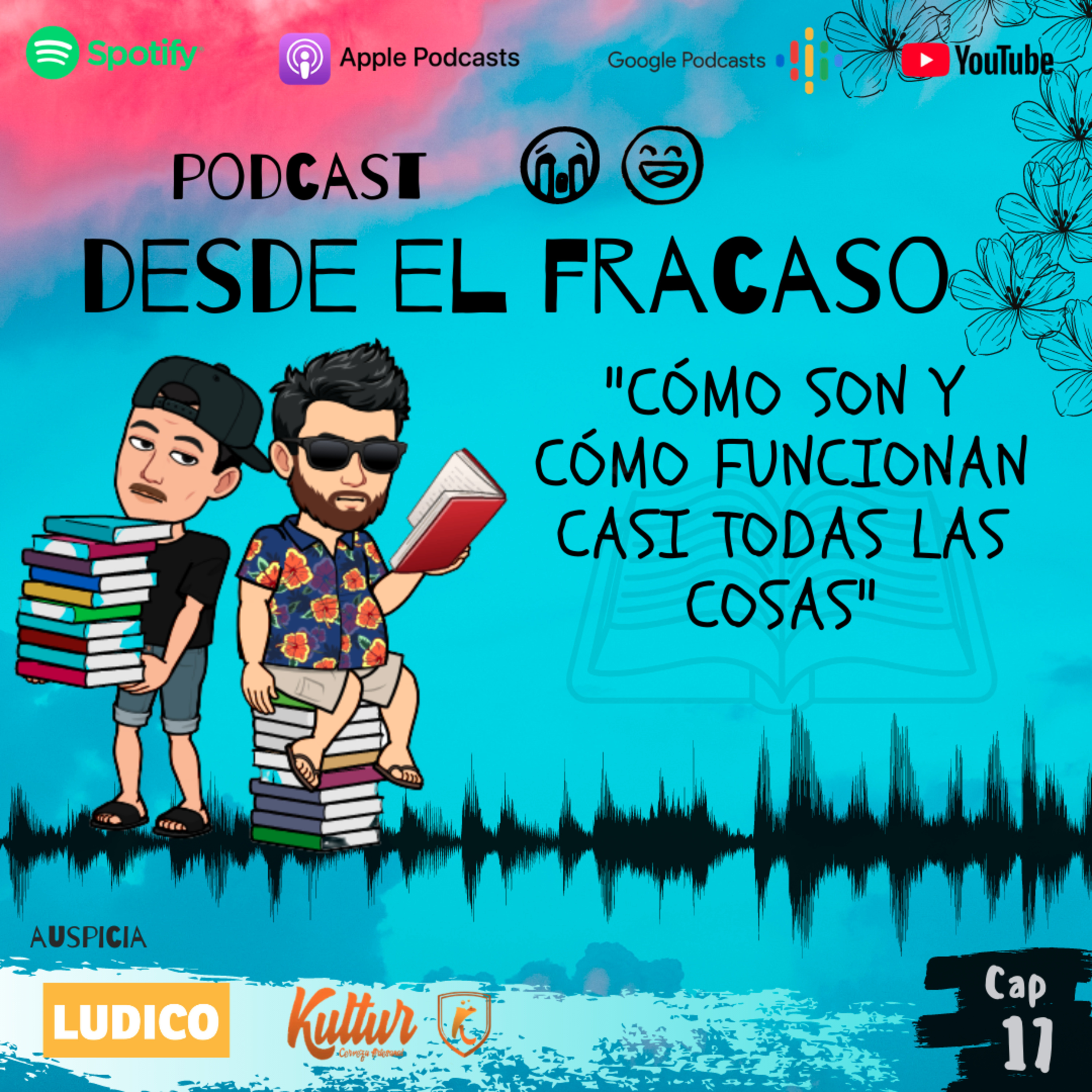 Desde el Fracaso