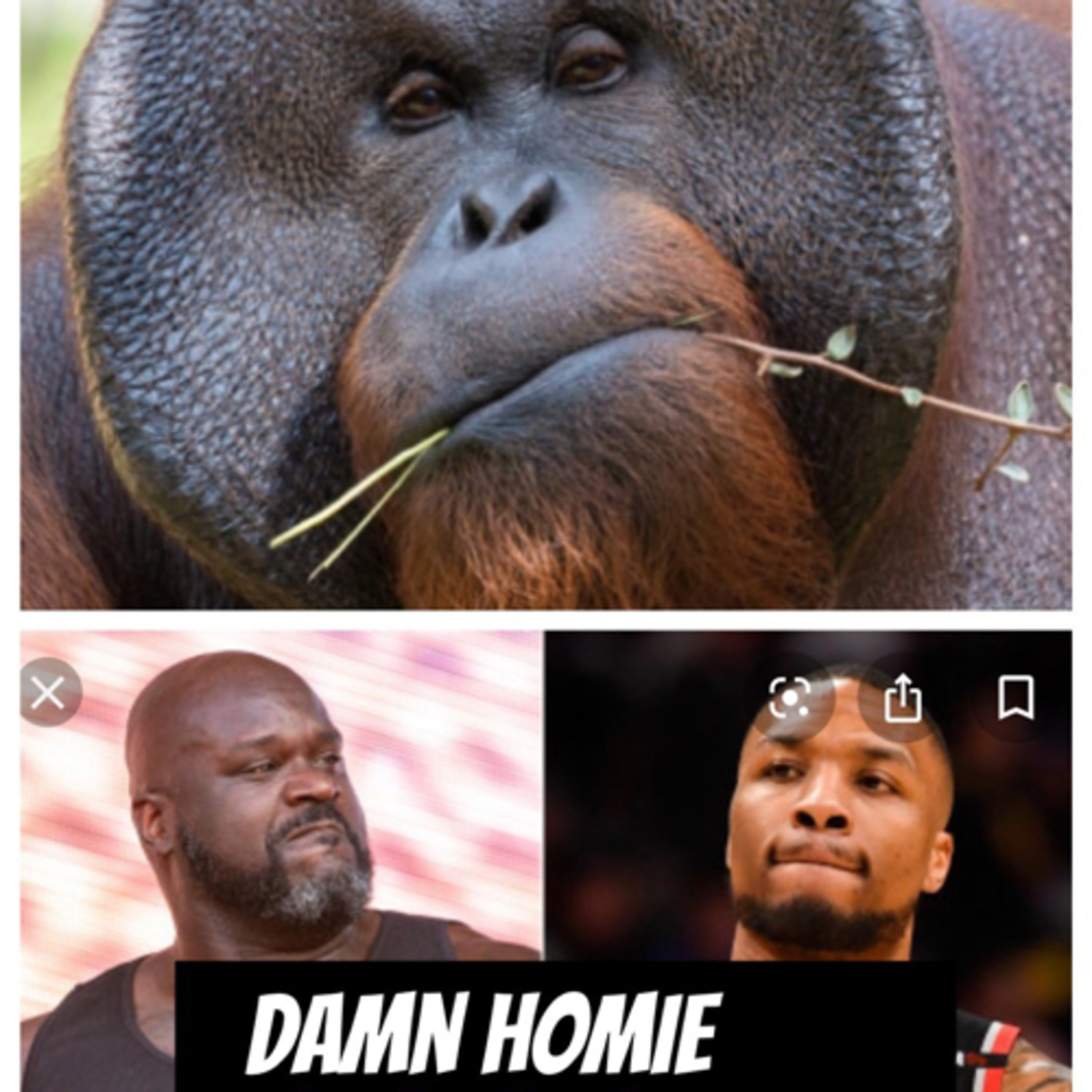 CAPTAIN WHITNEY AFTERMATH/SHAQ AND DAMIAN LILLIARD RAP ??