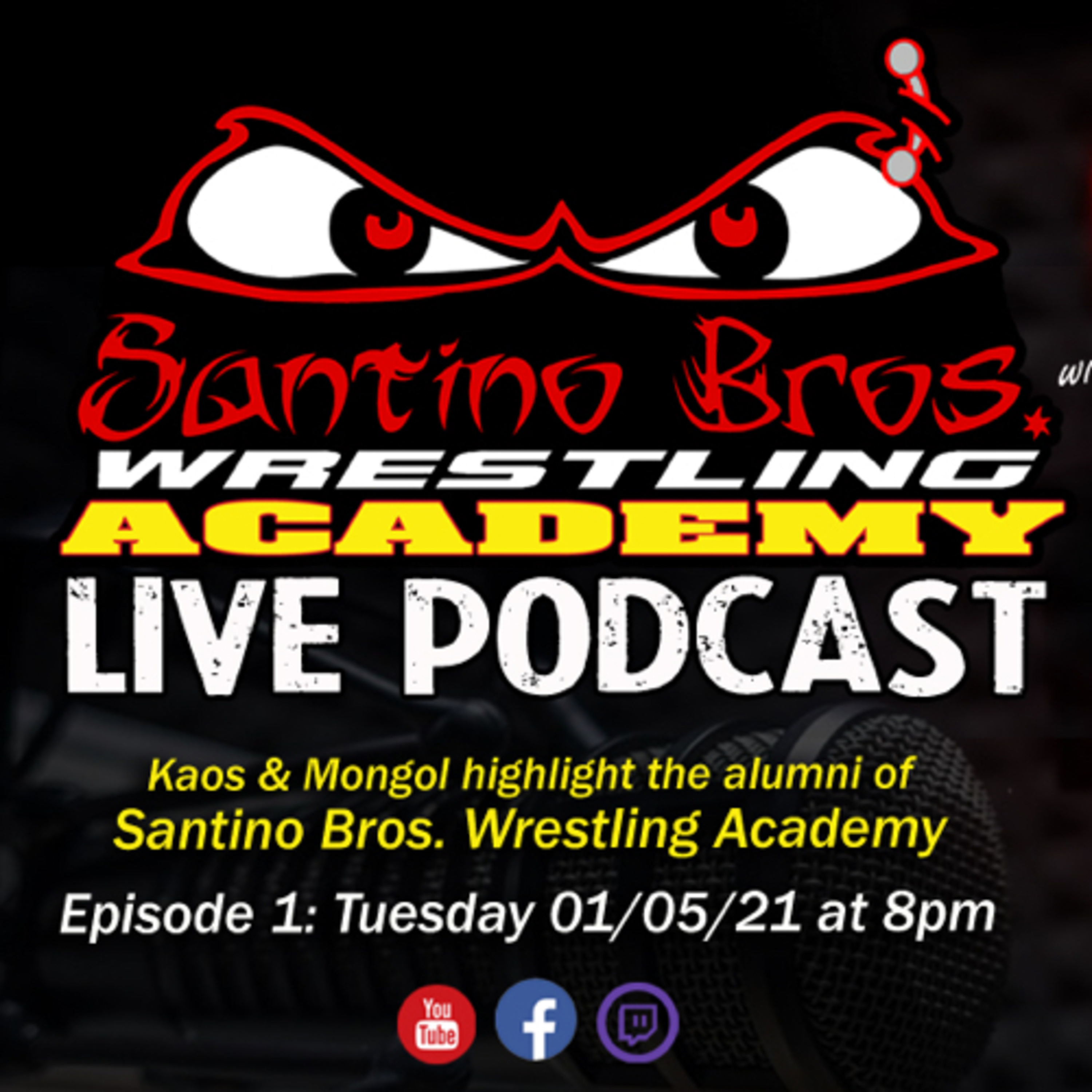Santino Bros Wrestling Academy