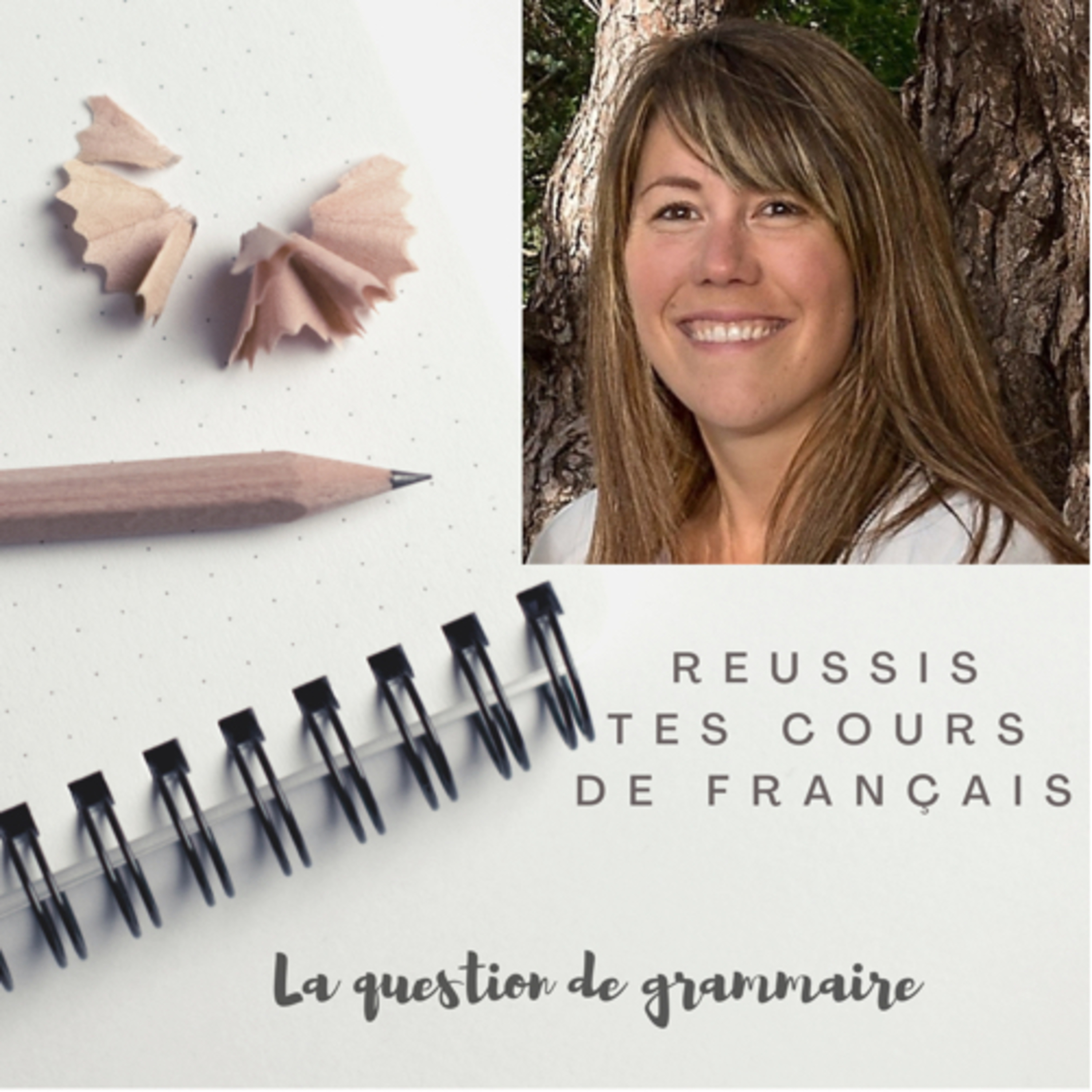 S3#5 Programme de grammaire en première et méthode pour répondre à la question de grammaire à l’oral