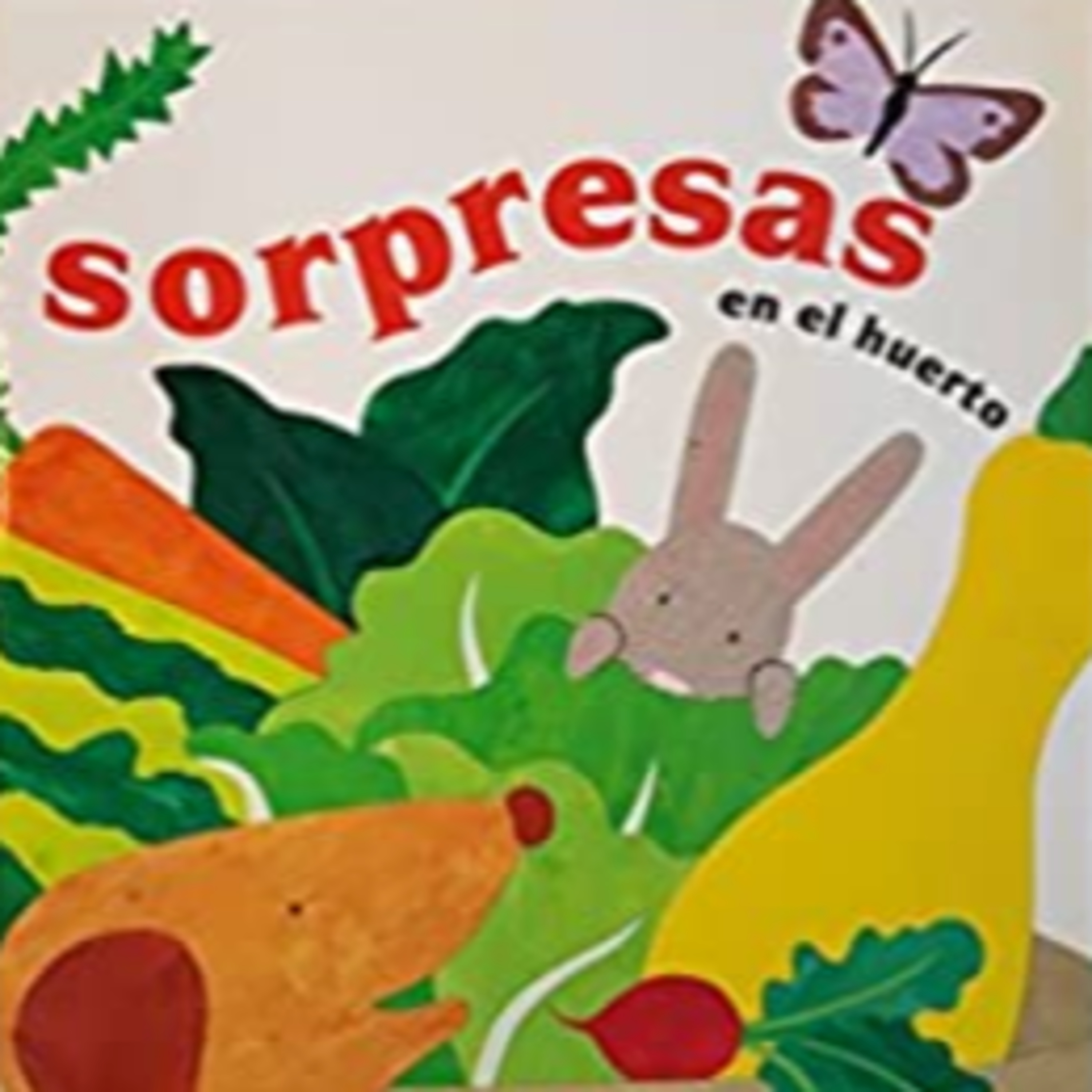 Programa Radial: Aprendo en Casa