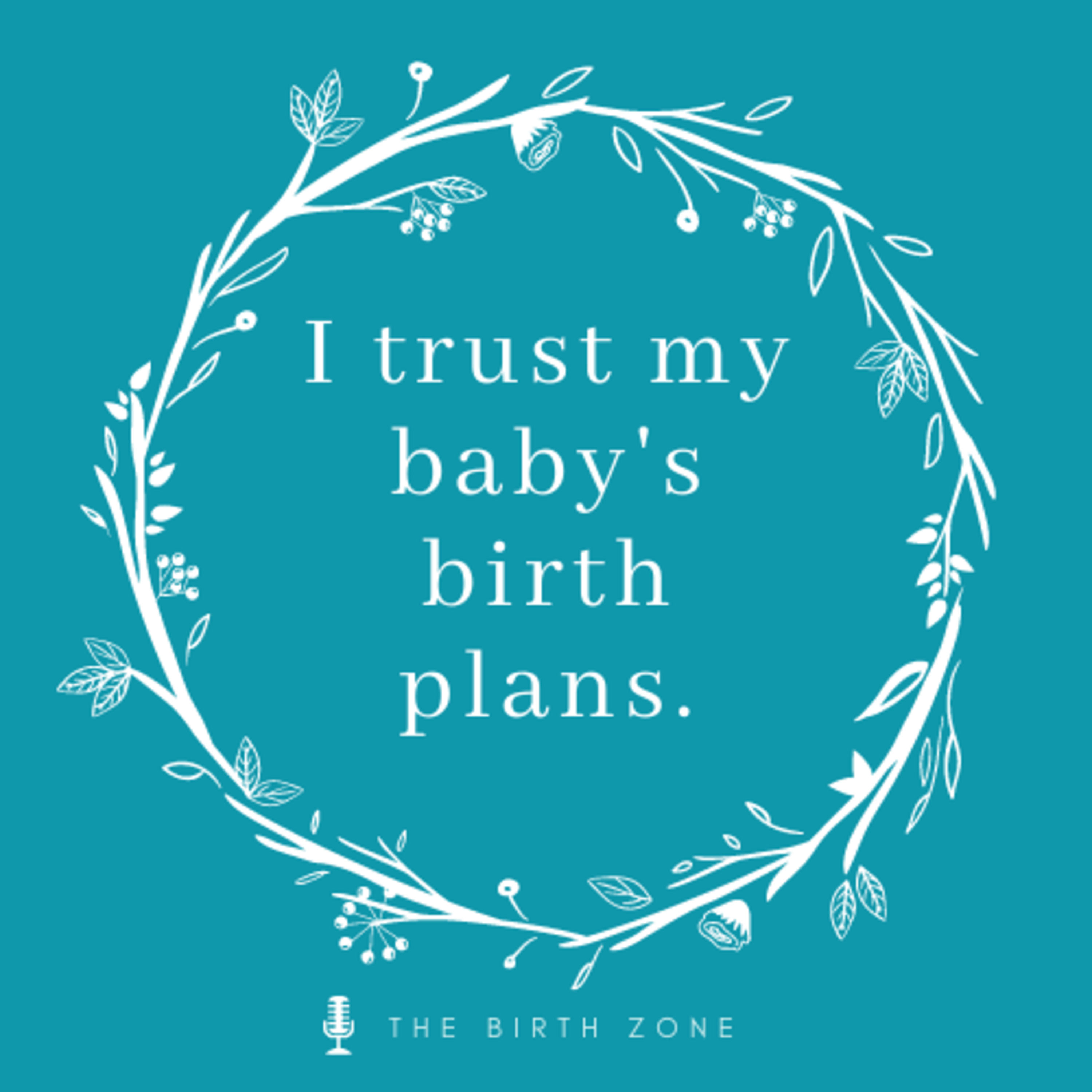 The Birth Zone