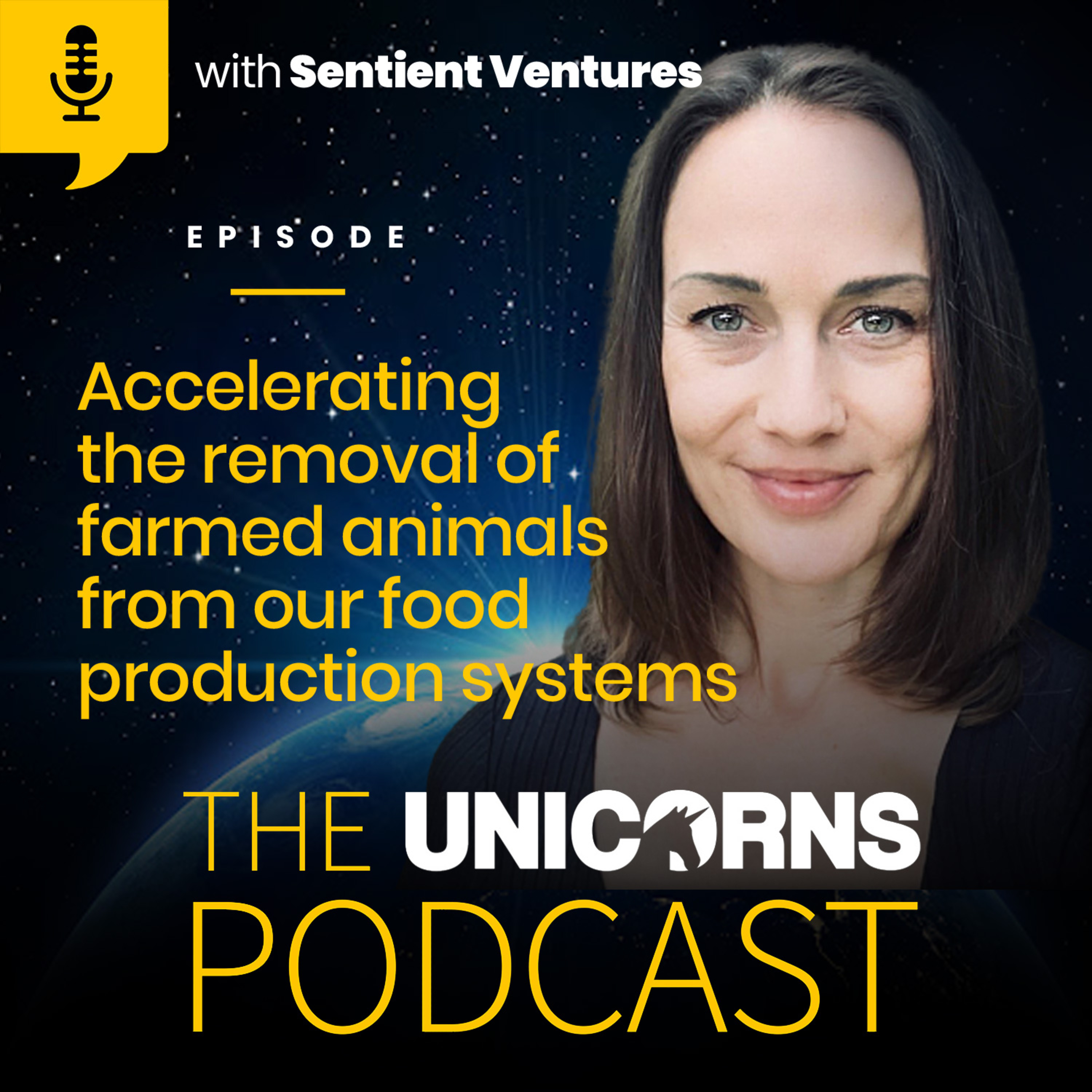 The Unicorns Podcast