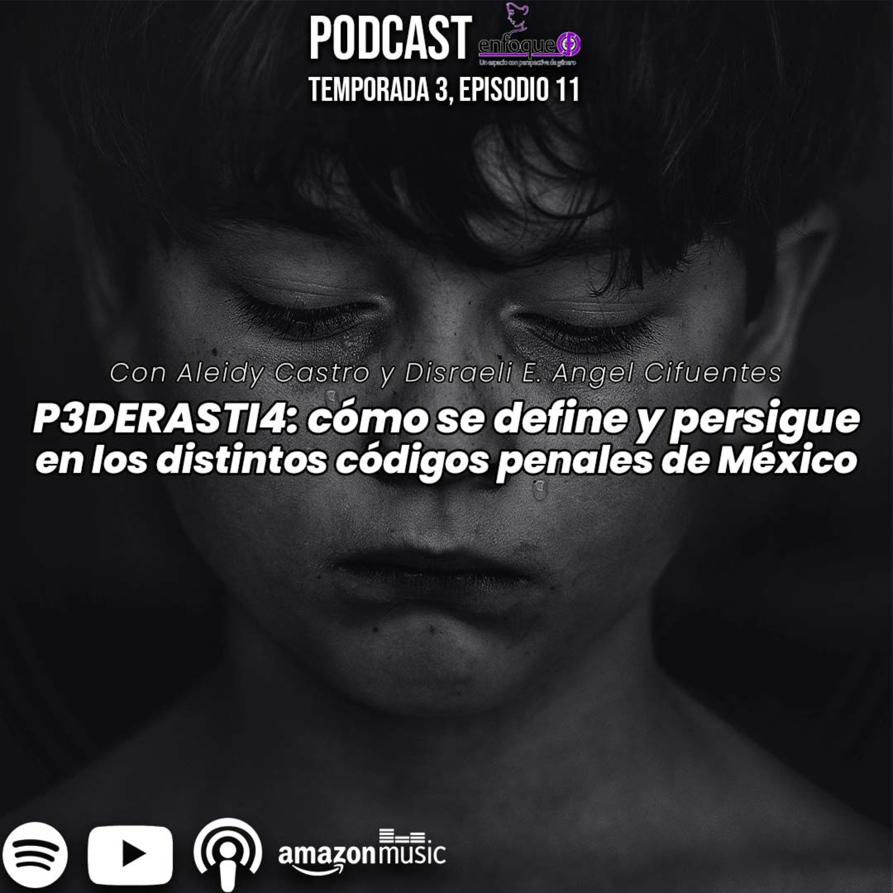 P3DERASTI4: cómo se define y persigue en los distintos códigos penales de México [EP. 46] episode artwork