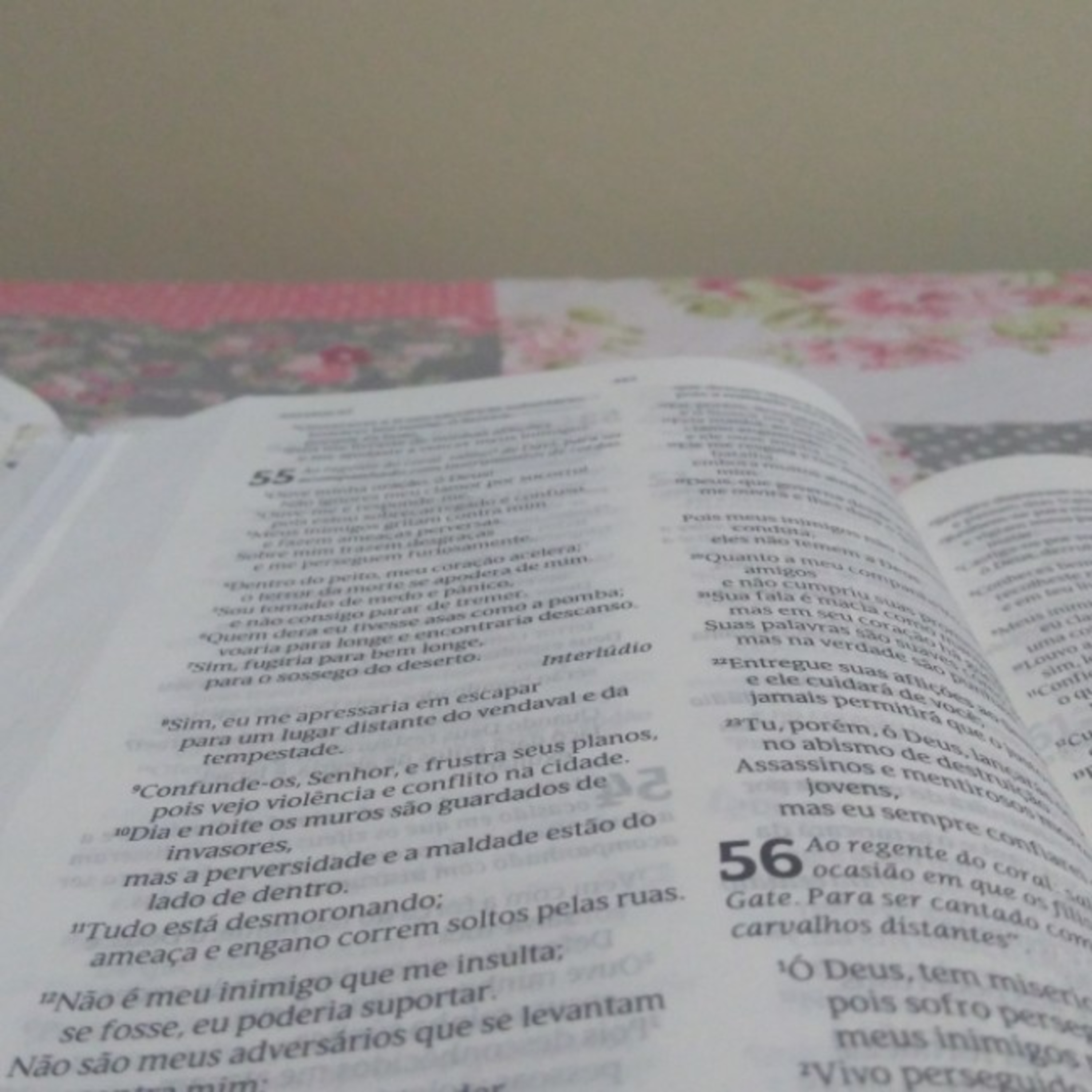 Devocional. Por Pastor Misael Leandro
