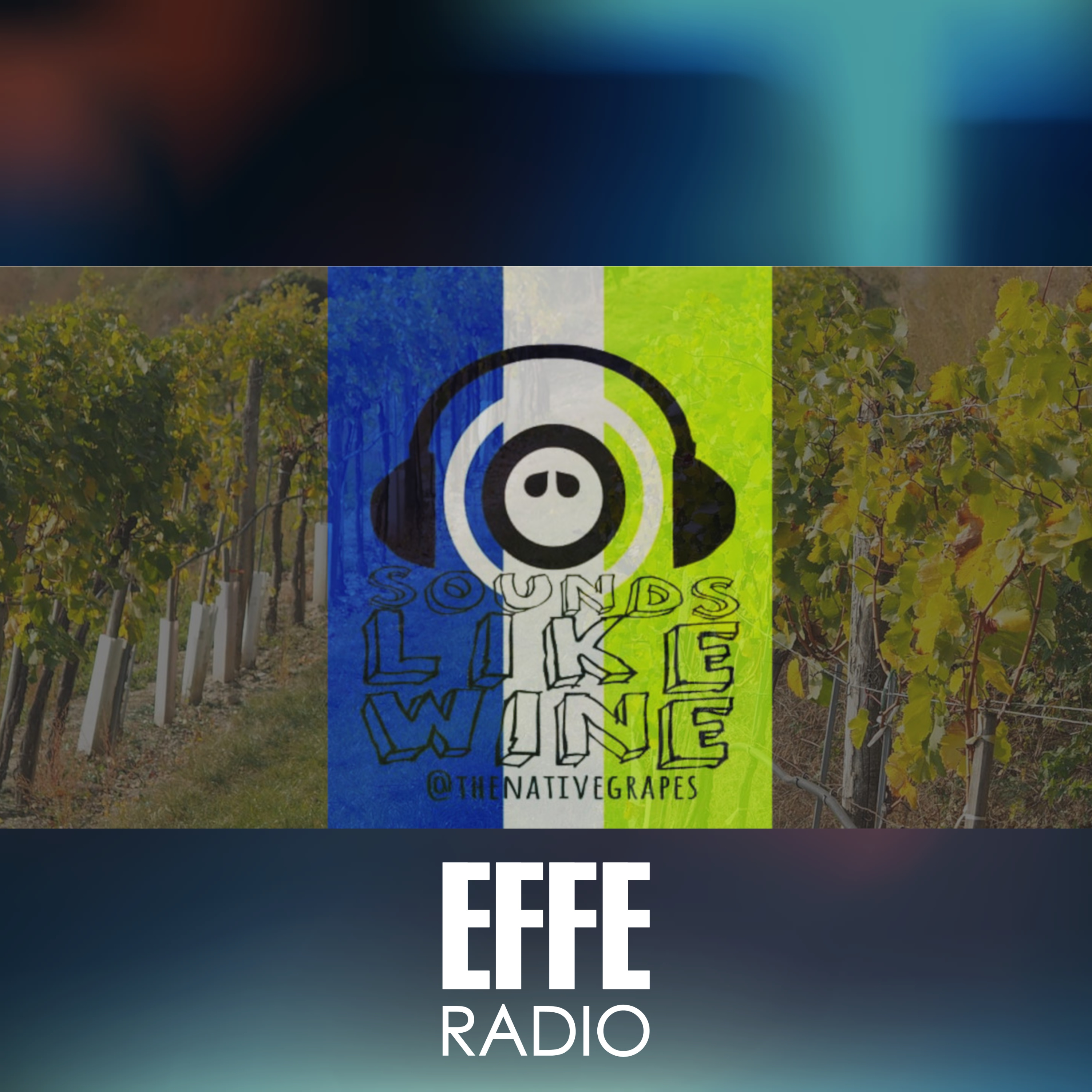 Sounds Like Wine - Vigna Lenuzza