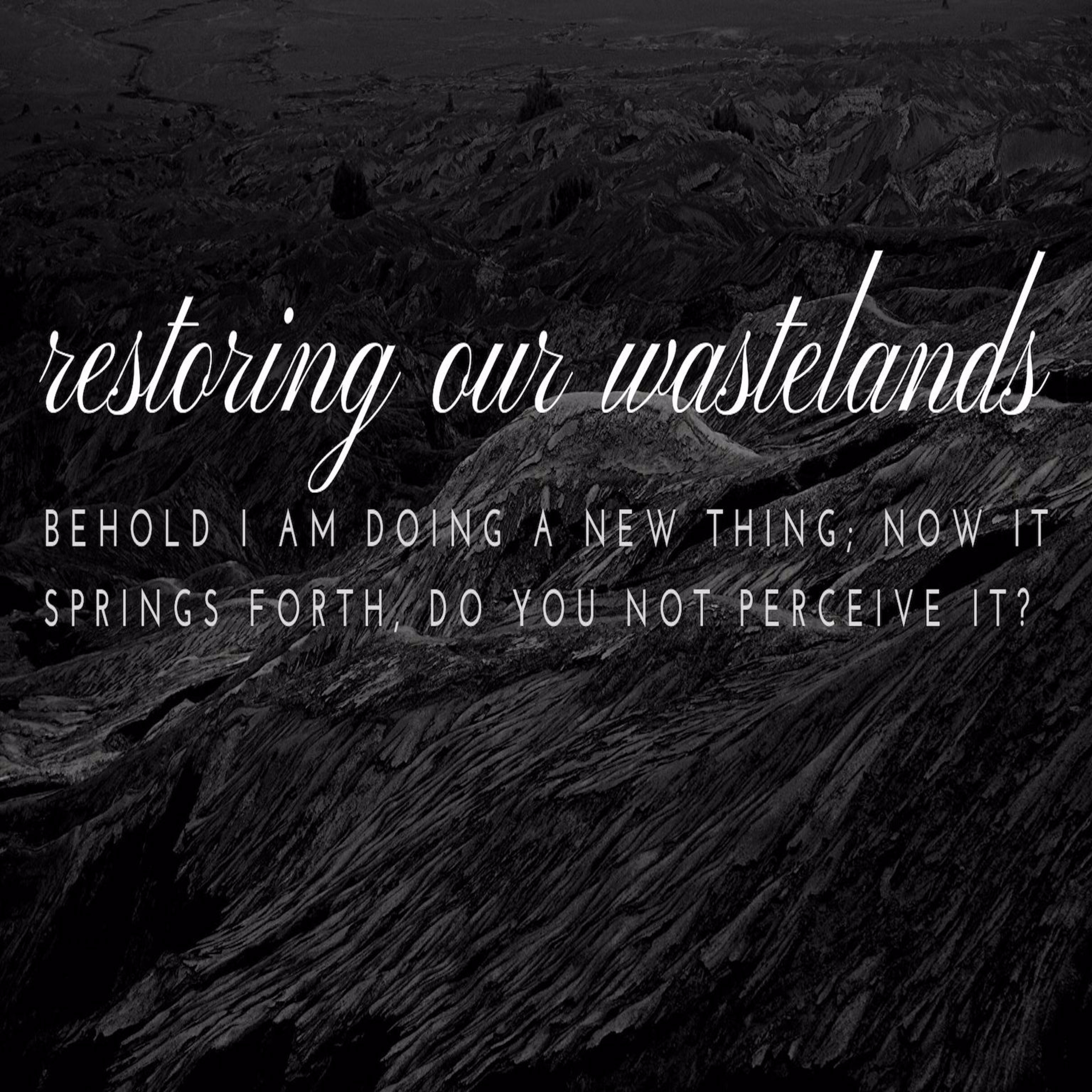 Advent 2019: "Restoring Our Wastelands" (Prayer and Persistence) episode artwork